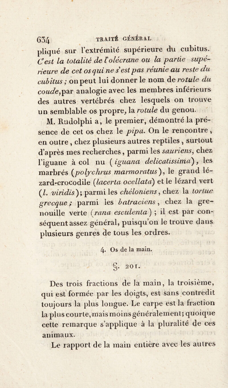 pliqué sur l’extrémité supérieure du cubitus. Cest la totalité de T olécrane ou la partie supé¬ rieure de cet os qui ne s'est pas réunie au reste du cubitus ; on peut lui donner le nom de rotule du coude,par analogie avec les membres inférieurs des autres vertébrés chez lesquels on trouve un semblable os propre, la rotule du genou. M. Rudolphi a, le premier, démontré la pré¬ sence de cet os chez le pipa. On le rencontre, en outre, chez plusieurs autres reptiles, surtout d’après mes recherches, parmi les sauriens, chez l’iguane à col nu ( iguana délieatissima}, les marbrés (polychrus marmoratus), le grand lé¬ zard-crocodile ilacerta ocellatd) et le lézard vert (Z. viridis); parmi les chèloniens, chez la tortue grecque; parmi les batraciens, chez la gre¬ nouille verte irana esculenta ) ; il est par con¬ séquent assez général, puisqu’on le trouve dans plusieurs genres de tous les ordres. 4. Os de la main. §. 201. Des trois fractions de la main, la troisième, qui est formée par les doigts, est sans contredit toujours la plus longue. Le carpe est la fraction la plus courte, mais moins généralement; quoique cette remarque s’applique à la pluralité de ces animaux. Le rapport de la main entière avec les autres