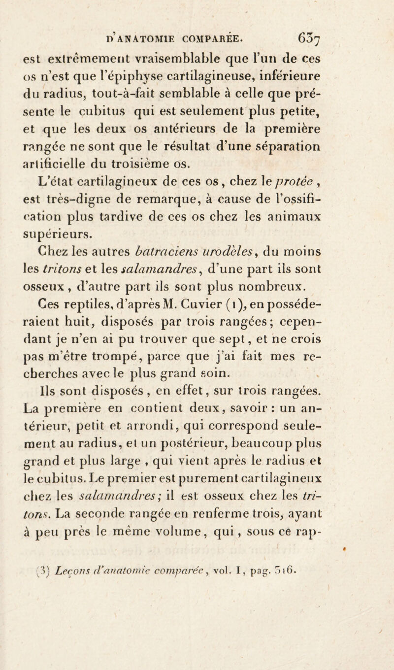 est extrêmement vraisemblable que l’un de ces os n’est que l’épiphyse cartilagineuse, inférieure du radius, tout-à-fait semblable à celle que pré¬ sente le cubitus qui est seulement plus petite, et que les deux os antérieurs de la première rangée ne sont que le résultat d’une séparation artificielle du troisième os. L’état cartilagineux de ces os, chez le protée , est très-digne de remarque, à cause de l’ossifi¬ cation plus tardive de ces os chez les animaux supérieurs. Chez les autres batraciens urodèles, du moins les tritons et les salamandres, d’une part ils sont osseux, d’autre part ils sont plus nombreux. Ces reptiles, d’après M. Cuvier (1), en posséde¬ raient huit, disposés par trois rangées; cepen¬ dant je n’en ai pu trouver que sept, et ne crois pas m’ètre trompé, parce que j’ai fait mes re¬ cherches avec le plus grand soin. Ils sont disposés, en effet, sur trois rangées. La première en contient deux, savoir: un an¬ térieur, petit et arrondi, qui correspond seule¬ ment au radius, et un postérieur, beaucoup plus grand et plus large , qui vient après le radius et le cubitus. Le premier est purement cartilagineux chez les salamandres ; il est osseux chez les tri¬ tons. La seconde rangée en renferme trois, ayant à peu près le même volume, qui, sous ce rap-