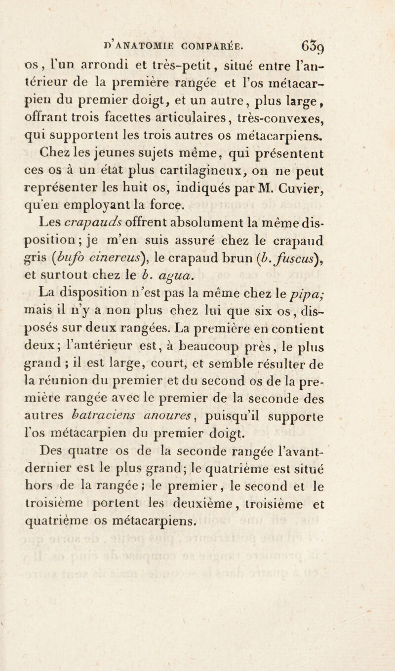 os, l’un arrondi et très-petit, situé entre l’an¬ térieur de la première rangée et l’os métacar¬ pien du premier doigt, et un autre, plus large, offrant trois facettes articulaires, très-convexes, qui supportent les trois autres os métacarpiens. Chez les jeunes sujets meme, qui présentent ces os à un état plus cartilagineux, on ne peut représenter les huit os, indiqués parM. Cuvier, qu’en employant la force. Les crapauds offrent absolument la même dis¬ position; je m’en suis assuré chez le crapaud gris (bufo cinereus), le crapaud brun (b.fuscus), et surtout chez le b. agua. La disposition n’est pas la même chez le pipa; mais il n’y a non plus chez lui que six os, dis¬ posés sur deux rangées. La première en contient deux; l’antérieur est, à beaucoup près, le plus grand ; il est large, court, et semble résulter de la réunion du premier et du second os de la pre¬ mière rangée avec le premier de la seconde des autres batraciens anoures, puisqu’il supporte l’os métacarpien du premier doigt. Des quatre os de la seconde rangée l’avant- dernier est le plus grand; le quatrième est situé hors de la rangée; le premier, le second et le troisième portent les deuxième, troisième et quatrième os métacarpiens.