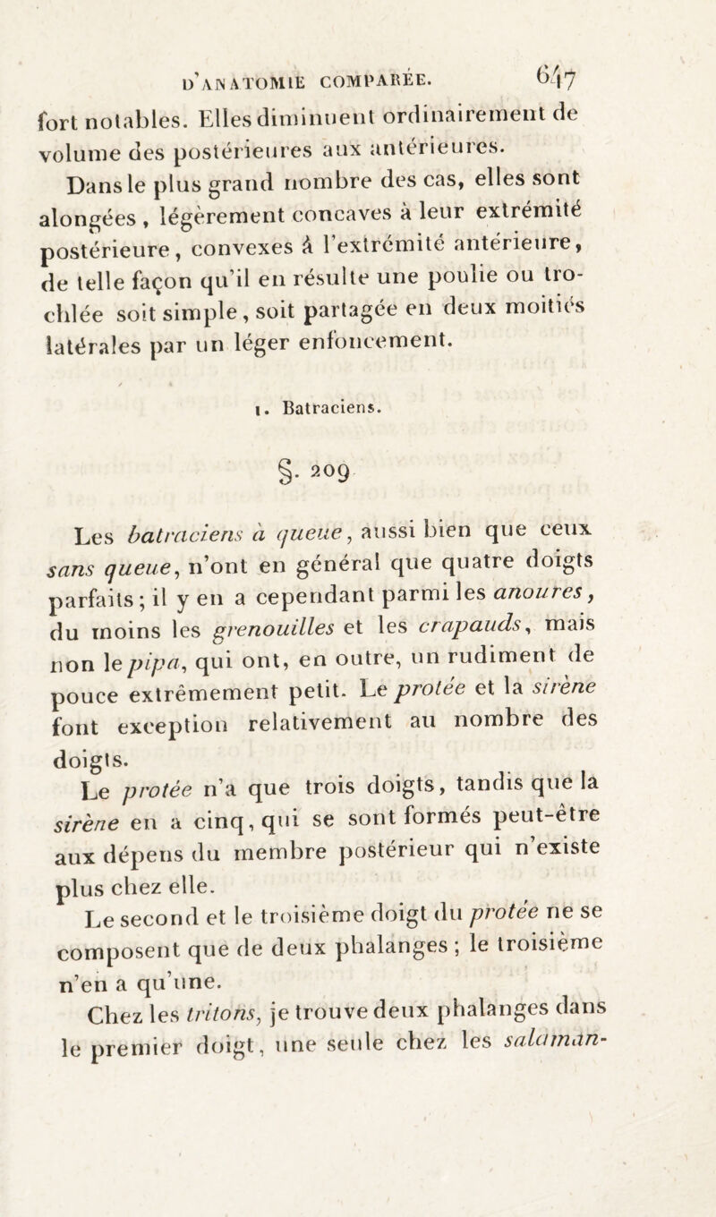 fort notables. Elles diminuent ordinairement de volume des postérieures aux antérieures. Dans le plus grand nombre des cas, elles sont alongées , légèrement concaves à leur extrémité postérieure, convexes A 1 extrémité «intérieure, de telle façon qu’il en résulte une poulie ou tro- chlée soit simple, soit partagée en deux moitiés latérales par un léger enfoncement. i. Batraciens. §• 209 Les batraciens à queue, aussi bien que ceux sans queue, n’ont en général que quatre doigts parfaits; il y en a cependant parmi les anoures, du moins les grenouilles et les crapauds, mais non le pipa, qui ont, en outre, un rudiment de pouce extrêmement petit. Le protée et la sirène font exception relativement au nombre des doigts. Le protée n’a que trois doigts, tandis que la sirène en a cinq, qui se sont formés peut-être aux dépens du membre postérieur qui n existe plus chez elle. Le second et le troisième doigt du protée ne se composent que de deux phalanges ; le troisième n’en a qu’une. Chez les tritons, je trouve deux phalanges dans le premier doigt, une seule chez les sala man-