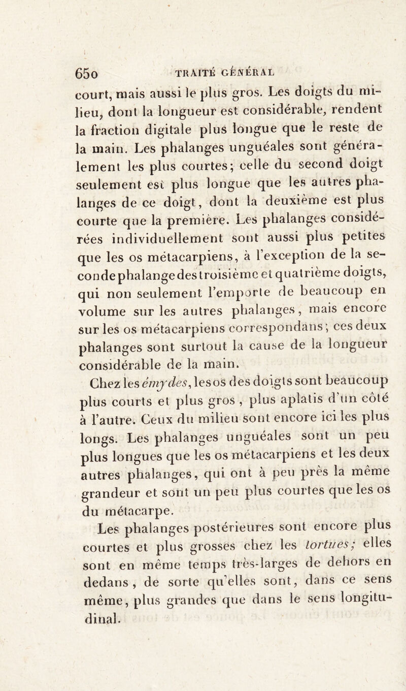 court, mais aussi )e plus gros. Les doigts du mi¬ lieu, dont la longueur est considérable, rendent la fraction digitale plus longue que le reste de la main. Les phalanges unguéales sont généra¬ lement les plus courtes; celle du second doigt seulement est plus longue que les autres pha¬ langes de ce doigt, dont la deuxième est plus courte que la première. Les phalanges considé¬ rées individuellement sont aussi plus petites que les os métacarpiens, à l’exception de la se¬ conde phalange des troisième et quatrième doigts, qui non seulement l’emporte de beaucoup en volume sur les autres phalanges, mais encore sur les os métacarpiens correspondons; ces deux phalanges sont surtout la cause de la longueur considérable de la main. Chez les èmydes, lesos des doigts sont beaucoup plus courts et plus gros , plus aplatis d un coté à l’autre. Ceux du milieu sont encore ici les plus longs. Les phalanges unguéales sont un peu plus longues que les os métacarpiens et les deux autres phalanges, qui ont à peu près la même grandeur et sont un peu plus courtes que les os du métacarpe. Les phalanges postérieures sont encore plus courtes et plus grosses chez les tortues; elles sont en même temps très-larges de dehors en dedans, de sorte quelles sont, dans ce sens même, plus grandes que dans le sens longitu¬ dinal.