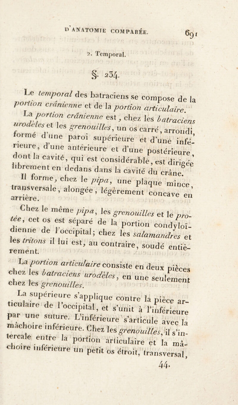 2. Temporal. §• ^4. Le tempo,al des batraciens se compose de la porüon crânienne et de la portion articulaire La portwn crânienne est, chez les batraciens formé 'd’1 6S 8ren°mlles'Iln os carré, arrondi, forme dlune paroi supérieure et d’une infé¬ rieure, dune antérieure et d’une postérieure dont la cavité, qui est considérable, est dirigée’ librement en dedans dans la cavité du crâne? forme, chez le pipa, une plaque mince transversale, alongée, légèrement concave en arriéré. 1 Chez le même pipa, les grenouilla ei le « T T ** * '* porto» CO„,l/|oi. d.en„, de 1 occipital; ches les satamanetL e, r'emlT* *“ conlraire, “»d0 entlè- Lu portion articulaire consiste en deux pièces en une senlemen chez les grenouilles. La supérieure s’applique contre la pièce ar ticulaire de l’occipital, et s’unit à l’inférieure par une suture. L’inférieure s’articule avec la mâchoire inférieure. Chez les grenouilles, il s’in. tercale entre la portion articulaire et la ml chôme inferieure un petit os étroit, transversal, 44*