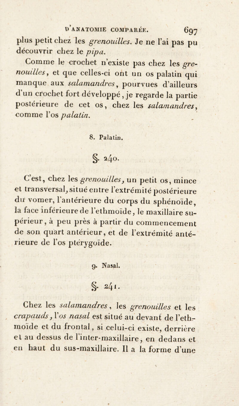 plus petit chez les grenouilles. Je ne l ai pas pu découvrir chez le pipa. Comme le crochet n’existe pas chez les gre¬ nouilles, et que celles-ci oht un os palatin qui manque aux salamandres, pourvues d’ailleurs d un crochet fort développé, je regarde la partie postérieure de cet os, chez les salamandres, comme l’os palatin. 8. Palatin. ü4°- C’est, chez les grenouilles, un petit os, mince et transversal^ situé entre l’extrémité postérieure dir vomer, l’antérieure du corps du sphénoïde, la face inférieure de l’ethmoïde, le maxillaire su¬ périeur, à peu près à partir du commencement de son quart antérieur, et de l’extrémité anté¬ rieure de l’os ptérygoïde. 9. Nasal. §. 241. Chez les salamandres, les grenouilles et les crapauds, 1 os nasal est situe au devant de l'eth— moïde et du frontal, si celui-ci existe, derrière et au dessus de 1 inter-maxillaire, en dedans et en haut du sus-maxillaire. Il a la forme d’une
