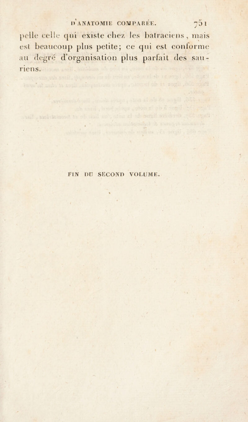 I > A IN7 ATOM IE CO 1UPARÉE. 'J 5 l pelle celle qui existe chez les batraciens, mais est beaucoup plus petite; ce qui est conforme au degré d’organisation plus parfait des sau¬ riens. FIN nu SECOND VOLUME. ;