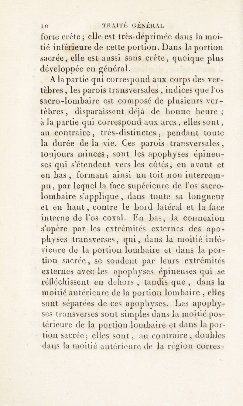 forte crête ; elle est très-déprimée dans la moi¬ tié inférieure de cette portion. Dans la portion sacrée, elle est aussi sans crête, quoique plus développée en général. À la partie qui correspond aux corps des ver¬ tèbres , les parois transversales , indices que fos sacro-lombaire est composé de plusieurs ver¬ tèbres, disparaissent déjà de bonne heure; à la partie qui correspond aux arcs , elles sont, au contraire, très-distinctes , pendant toute la durée de la vie. Ces parois transversales , toujours minces, sont les apophyses épineu¬ ses qui s’étendent vers les côtés, en avant et en bas , formant ainsi un toit non interrom¬ pu, par lequel la face supérieure de l’os sacro- lombaire s’applique , dans toute sa longueur et en haut, contre le bord latéral et la face interne de l’os coxal. En bas, la connexion s’opère par les extrémités externes des apo¬ physes transverses, qui, dans la moitié infé¬ rieure de la portion lombaire et dans la por¬ tion sacrée, se soudent par leurs extrémités externes avec les apophyses épineuses qui se réfléchissent en dehors , tandis que , dans la moitié antérieure de la portion lombaire , elles sont séparées de ces apophyses. Les apophy¬ ses transverses sont simples dans la moitié pos¬ térieure de la portion lombaire et dans la por¬ tion sacrée; elles sont, au contraire, doubles dans la moitié antérieure de la région corres-