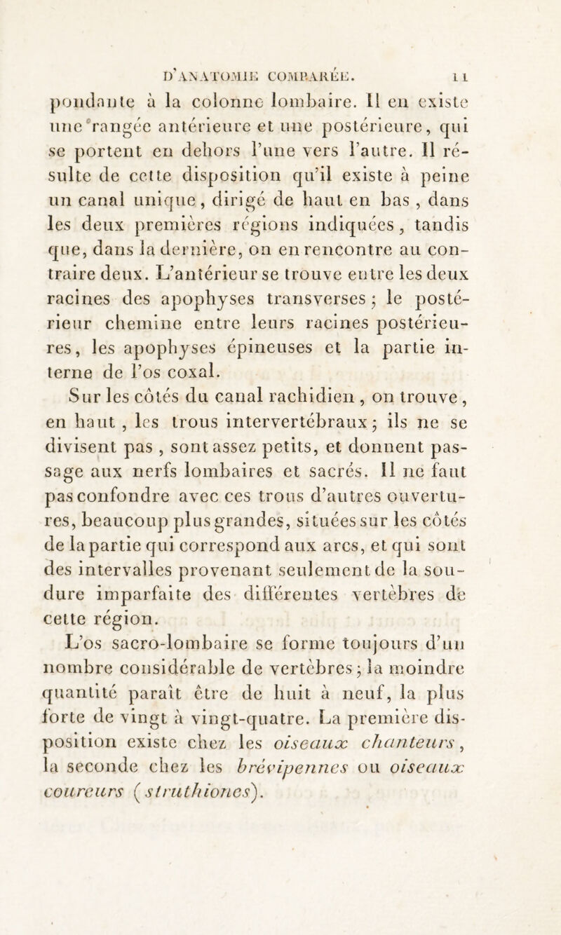 pondante à la colonne lombaire. 11 en existe une rangée antérieure et une postérieure, qui se portent en dehors Tune vers l’autre. 11 ré¬ sulte de cette disposition qu’il existe à peine un canal unique, dirigé de haut en bas , dans les deux premières régions indiquées, tandis que, dans la dernière, on en rencontre au con¬ traire deux. L’antérieur se trouve entre les deux racines des apophyses transverses ; le posté¬ rieur chemine entre leurs racines postérieu¬ res, les apophyses épineuses et la partie in¬ terne de l’os coxal. Sur les côtés du canal rachidien , on trouve , en haut , les trous intervertébraux; ils ne se divisent pas , sont assez petits, et donnent pas¬ sage aux nerfs lombaires et sacrés. 11 ne faut pas confondre avec ces trous d’autres ouvertu¬ res, beaucoup plus grandes, situées sur les côtés de la partie qui correspond aux arcs, et qui sont des intervalles provenant seulement de la sou¬ dure imparfaite des différentes vertèbres de cette région. L’os sacro-lombaire se forme toujours d’un nombre considérable de vertèbres ; la moindre quantité parait être de huit à neuf, la plus iorte de vingt à vingt-quatre. La première dis¬ position existe chez les oiseaux chanteurs, la seconde chez les brévipennes ou oiseaux coureurs ( slruthioncs).