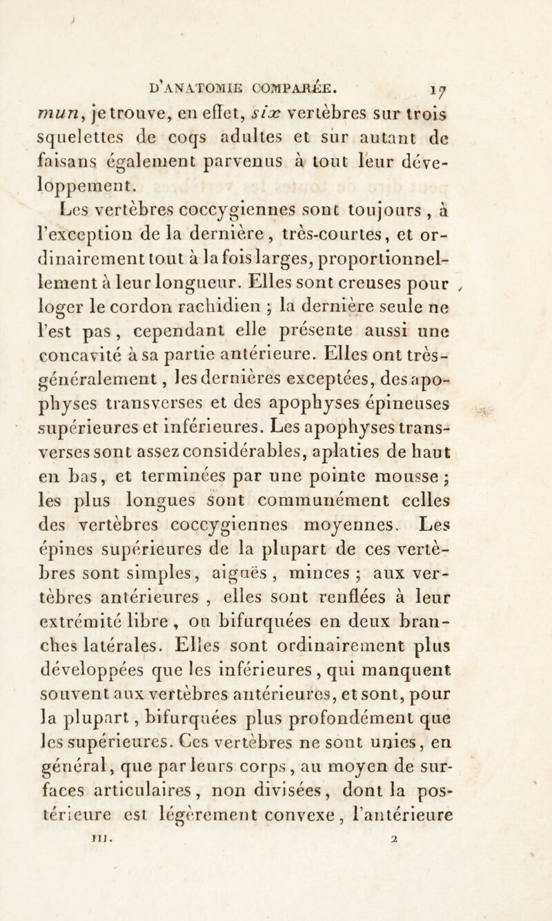 mun, je trouve, en effet, six vertèbres sur trois squelettes de coqs adultes et sur autant de faisans egalement parvenus à tout leur déve¬ loppement. Les vertèbres coccygiennes sont toujours , à l’exception de la dernière, très-courtes, et or¬ dinairement tout à la fois larges, proportionnel¬ lement à leur longueur. Elles sont creuses pour , loger le cordon rachidien ; la dernière seule ne l’est pas , cependant elle présente aussi une concavité à sa partie antérieure. Elles ont très- généralement , les dernières exceptées, des apo¬ physes transverses et des apophyses épineuses supérieures et inférieures. Les apophyses trans¬ verses sont assez considérables, aplaties de haut en bas, et terminées par une pointe mousse; les plus longues sont communément celles des vertèbres coccygiennes moyennes. Les épines supérieures de la plupart de ces vertè¬ bres sont simples, aiguës , minces ; aux ver¬ tèbres antérieures , elles sont renflées à leur extrémité libre, ou bifurquées en deux bran¬ ches latérales. Elles sont ordinairement plus développées que les inférieures, qui manquent souvent aux vertèbres antérieures, et sont, pour la plupart, bifurquées plus profondément que les supérieures. Ces vertèbres ne sont unies, en général, que parleurs corps, au moyen de sur¬ faces articulaires, non divisées, dont la pos¬ térieure est légèrement convexe, l’antérieure