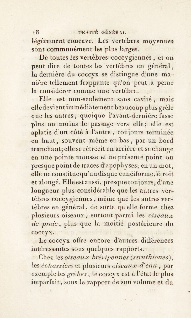 légèrement concave. Les vertèbres moyennes sont communément les plus larges. De toutes les vertèbres coccygiennes, et on peut dire de toutes les vertèbres en général , la dernière du coccyx se distingue d’une ma¬ nière tellement frappante qu’on peut à peine la considérer comme une vertèbre. Elle est non-seulement sans cavité , mais elledevient immédiatement beaucoup plus grêle que les autres , quoique 1’avant-dernière fasse plus ou moins le passage vers elle; elle est aplatie d’un côté à l’autre , toujours terminée en haut, souvent même en bas , par un bord tranchant; elle se rétrécit en arrière et se change en une pointe mousse et ne présente point ou presque point de traces d’apophyses; en un mot, elle ne constitue qu’un disque cunéiforme, étroit et alongé. Elleestaussi, presque toujours, d’une longueur plus considérable que les autres ver¬ tèbres coccygiennes , même que les autres ver¬ tèbres en général, de sorte quelle forme chez plusieurs oiseaux, surtout parmi les oiseauæ de proie, plus que la moitié postérieure du coccyx. Le coccyx offre encore d’autres différences intéressantes sous quelques rapports. Chez les oiseauæ brèvipennes (,struthiones), les échassiers et plusieurs oiseauæ d’eau , par exemple les grebes , le coccyx est à l’état le plus imparfait, sous le rapport de son volume et du