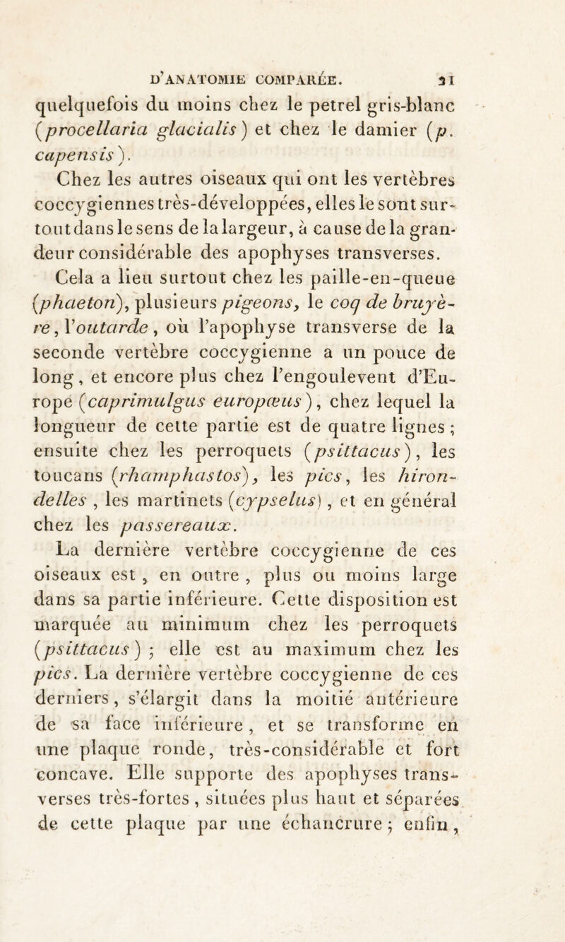 quelquefois du moins chez le petrel gris-blanc (procellaria glacialis) et chez le damier (p. capensis). Chez les autres oiseaux qui ont les vertèbres coccygiennes très-développées, elles le sont sur- toutdanslesens de la largeur, a cause delà gran¬ deur considérable des apophyses transverses. Cela a lieu surtout chez les paille-en-queue (phaeton), plusieurs pigeons, le coq de bruyè¬ re ,X outarde, où l’apophyse transverse de la seconde vertèbre coccygienne a un pouce de long, et encore plus chez l’engoulevent d'Eu¬ rope (caprimulgus europæus), chez lequel la longueur de cette partie est de quatre lignes ; ensuite chez les perroquets (psittacus), les toucans (rhcirnphastos), les pics, les hiron¬ delles , les martinets (cypselus), et en général chez les passereaux. La dernière vertèbre coccygienne de ces oiseaux est , en outre , plus ou moins large dans sa partie inférieure. Cette disposition est marquée au minimum chez les perroquets (psittacus) * elle est au maximum chez les pics. La dernière vertèbre coccygienne de ces derniers, s’élargit dans la moitié antérieure de 'sa face inférieure, et se transforme en une plaque ronde, très-considérable et fort concave. Elle supporte des apophyses trans¬ verses très-fortes , situées plus haut et séparées de cette plaque par une échancrure ; enfin,