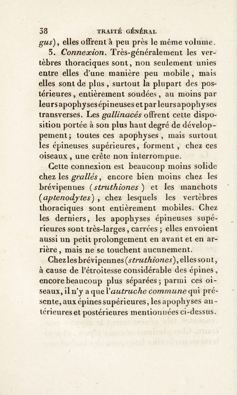 gus), elles offrent à peu près le même volume, 5. Connexion. Très-généralement les ver¬ tèbres thoraciques sont, non seulement unies entre elles d’une manière peu mobile , mais elles sont de plus , surtout la plupart des pos¬ térieures , entièrement soudées, au moins par leurs apophyses épineuses et par leurs apophyses transverses. Les gallinacés offrent cette dispo¬ sition portée à son plus haut degré de dévelop¬ pement ; toutes ces apophyses, mais surtout les épineuses supérieures, forment , chez ces oiseaux , une crête non interrompue. Cette connexion est beaucoup moins solide chez les grallés, encore bien moins chez les brévipennes ( struthiones ) et les manchots (aptenodjtes) , chez lesquels les vertèbres thoraciques sont entièrement mobiles. Chez les derniers, les apophyses épineuses supé¬ rieures sont très-larges, carrées ; elles envoient aussi un petit prolongement en avant et en ar¬ rière , mais ne se touchent aucunement. Chez les brévipennes (struthiones), elles sont, à cause de l’étroitesse considérable des épines, encore beaucoup plus séparées; parmi ces oi¬ seaux, il n’y a que Xautruche commune qui pré¬ sente, aux épines supérieures, les apophyses an¬ térieures et postérieures mentionnées ci-dessus.