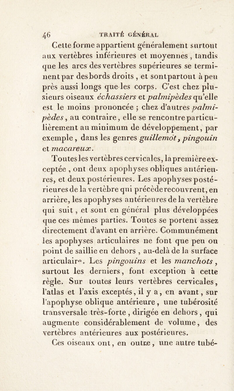 Cette forme appartient généralement surtout aux vertèbres inférieures et moyennes , tandis que les arcs des vertèbres supérieures se termi¬ nent par des bords droits , et sontpartout à peu près aussi longs que les corps. C’est chez plu¬ sieurs oiseaux échassiers et palmipèdes qu’elle est le moins prononcée ; chez d’autres palmi¬ pèdes , au contraire, elle se rencontre particu¬ lièrement au minimum de développement, par exemple , dans les genres guillemot, pingouin et macareux. Toutes les vertèbres cervicales, la première ex¬ ceptée , ont deux apophyses obliques antérieu¬ res, et deux postérieures. Les apophyses posté¬ rieures de la vertèbre qui précède recouvrent, en arrière, les apophyses antérieures de la vertèbre qui suit , et sont en général plus développées que ces memes parties. Toutes se portent assez directement d’avant en arrière. Communément les apophyses articulaires ne font que peu ou point de saillie en dehors , au-delà de la surface articulaire. Les pingouins et les manchots , surtout les derniers, font exception à cette règle. Sur toutes leurs vertèbres cervicales, l’atlas et l’axis exceptés, il y a, en avant, sur l’apophyse oblique antérieure, une tubérosité transversale très-forte , dirigée en dehors , qui augmente considérablement de volume, des vertèbres antérieures aux postérieures. Ces oiseaux ont, en outre, une autre tubé-