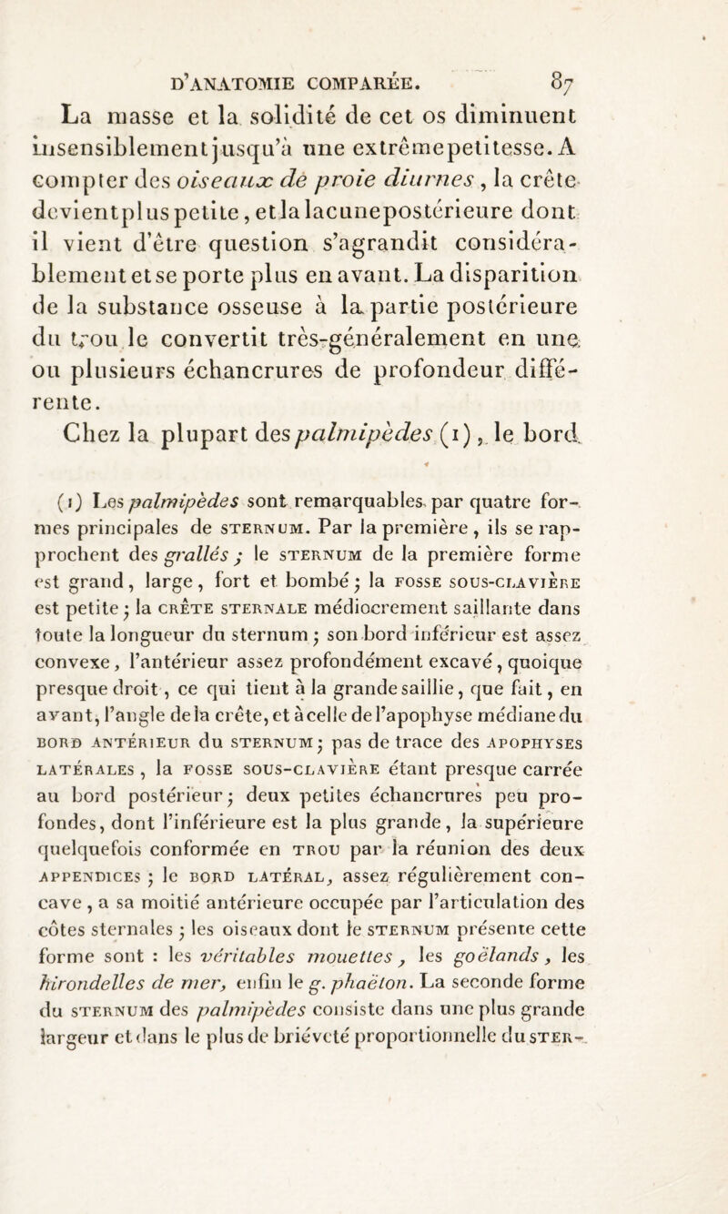 La niasse et la solidité de cet os diminuent insensiblement jusqu’à une extrémepetitesse. À compter des oiseciuæ de proie diurnes , la crête devientpluspetite, etlalacunepostérieure dont il vient d’être question s’agrandit considéra¬ blement et se porte plus en avant. La disparition de la substance osseuse à la, partie postérieure du Uou le convertit très-généralement en une ou plusieurs échancrures de profondeur diffé¬ rente. Chez la plupart des palmipedes (1)le bord « (1) Les palmipèdes sont remarquables, par quatre for¬ mes principales de sternum. Par la première , ils se rap¬ prochent des grallés ; le sternum de la première forme est grand, large, fort et bombé ; la fosse sous-claviere est petite • la crête sternale médiocrement saillante dans toute la longueur du sternum • son bord inférieur est assez convexe, l’antérieur assez profondément excavé, quoique presque droit, ce qui tient à la grande saillie, que fait, en ayant, l’angle delà crête, et àcelle de l’apophyse médiane du bord antérieur du sternum • pas de trace des APOPHYSES latérales , la fosse sous-claviere étant presque carrée au bord postérieur; deux petites échancrures peu pro¬ fondes, dont l’inférieure est la plus grande, la supérieure quelquefois conformée en trou par ia réunion des deux appendices ; le bord latéral, assez régulièrement con¬ cave , a sa moitié antérieure occupée par l’articulation des côtes sternales ; les oiseaux dont le sternum présente cette forme sont : les véritables mouettes , les goélands, les hirondelles de mer, enfin le g. phaëlon. La seconde forme du sternum des palmipèdes consiste dans une plus grande largeur et dans le plus de brièveté proportionnelle dusTEiw.