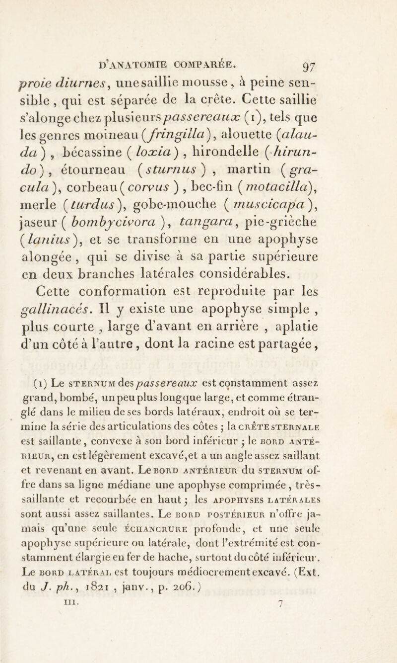 proie diurnes, une saillie mousse , h peine sen¬ sible , qui est séparée de la crête. Cette saillie s’alonge chez plusieurs passereaux (i), tels que les genres moineau (fringilla), alouette (alau- da ) , bécassine ( loxia ) , hirondelle ( hirun- do) , étourneau ( sturnus ), martin ( gra- cula ), corbeau( corvus ) , bec-fin ( motacilla), merle (tardas), gobe-mouche (muscicapa), jaseur ( bombycivora ), tan gara, pie-grièche (lanius), et se transforme en une apophyse alongée , qui se divise à sa partie supérieure en deux branches latérales considérables. Cette conformation est reproduite par les gallinacés. Il y existe une apophyse simple , plus courte ? large d’avant en arrière , aplatie d’un côté à l’autre , dont la racine est partagée, (1) Le sternum des passereaux es t constamment assez grand, bombé, un peu plus longque large, et comme étran¬ glé dans le milieu de ses bords latéraux, endroit où se ter¬ mine la série désarticulations des côtes ; la crête sternale est saillante, convexe à son bord inférieur • le bord anté¬ rieur, en est légèrement excavé,et a un angle assez saillant et revenant en avant. Le bord antérieur du sternum of¬ fre dans sa ligne médiane une apophyse comprimée , tres¬ saillante et recourbée en haut; les apophyses latérales sont aussi assez saillantes. Le bord postérieur n’offre ja¬ mais qu’une seule échancrure profonde, et une seule apophyse supérieure ou latérale, dont l’extrémité est con¬ stamment élargie en fer de hache, surtout du côté inférieur. Le bord latéral est toujours médiocrement excavé. (Ext. du J. ph., 1821 , janv., p. 206.)