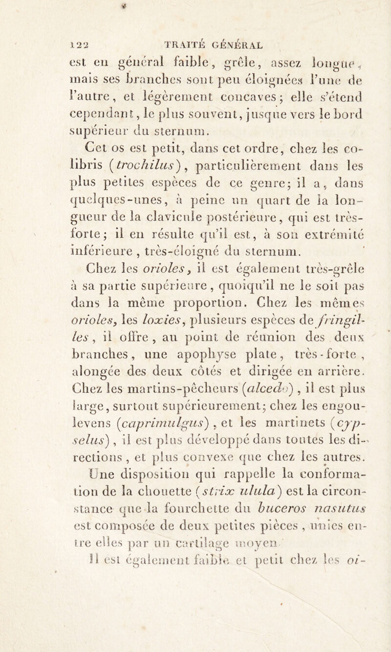 est en général faible, grêle, assez longue, mais ses brandies sont peu éloignées Tune de l’autre, et légèrement concaves; elle s’étend cependant, le plus souvent, jusque vers le bord s upérie tir du sternum. Cet os est, petit, dans cet ordre, chez les co¬ libris ( troc hi lus ) , particulièrement dans les plus petites espèces de ce genre; il a, dans quelques-unes, à peine un quart de ia lon¬ gueur de la clavicule postérieure, qui est très- forte; il en résulte qu’il est, à son extrémité inférieure , très-éloigné du sternum. Chez les orioles, il est également très-grêle à sa partie supérieure , quoiqu’il ne le soit pas dans la même proportion. Chez les mêmes orioles, les loxies, plusieurs espèces de fringil- les, il offre, au point de réunion des deux branches, une apophyse plate, très-forte, alongée des deux côtés et dirigée en arrière. Chez les martins-pêcheurs (alcedo) , il est plus large, surtout supérieurement; chez les engou- levens (coprimulgus) , et les martinets (cyp- selus), il est plus développé dans toutes les di¬ rections , et plus convexe que chez les autres. Une disposition qui rappelle la conforma¬ tion de la chouette ( striæ ulula) est la circon¬ stance que la fourchette du buceros nas ut us est composée de deux petites pièces , unies en¬ tre elles par un cartilage moyen- Il est également faible et petit chez les oi-