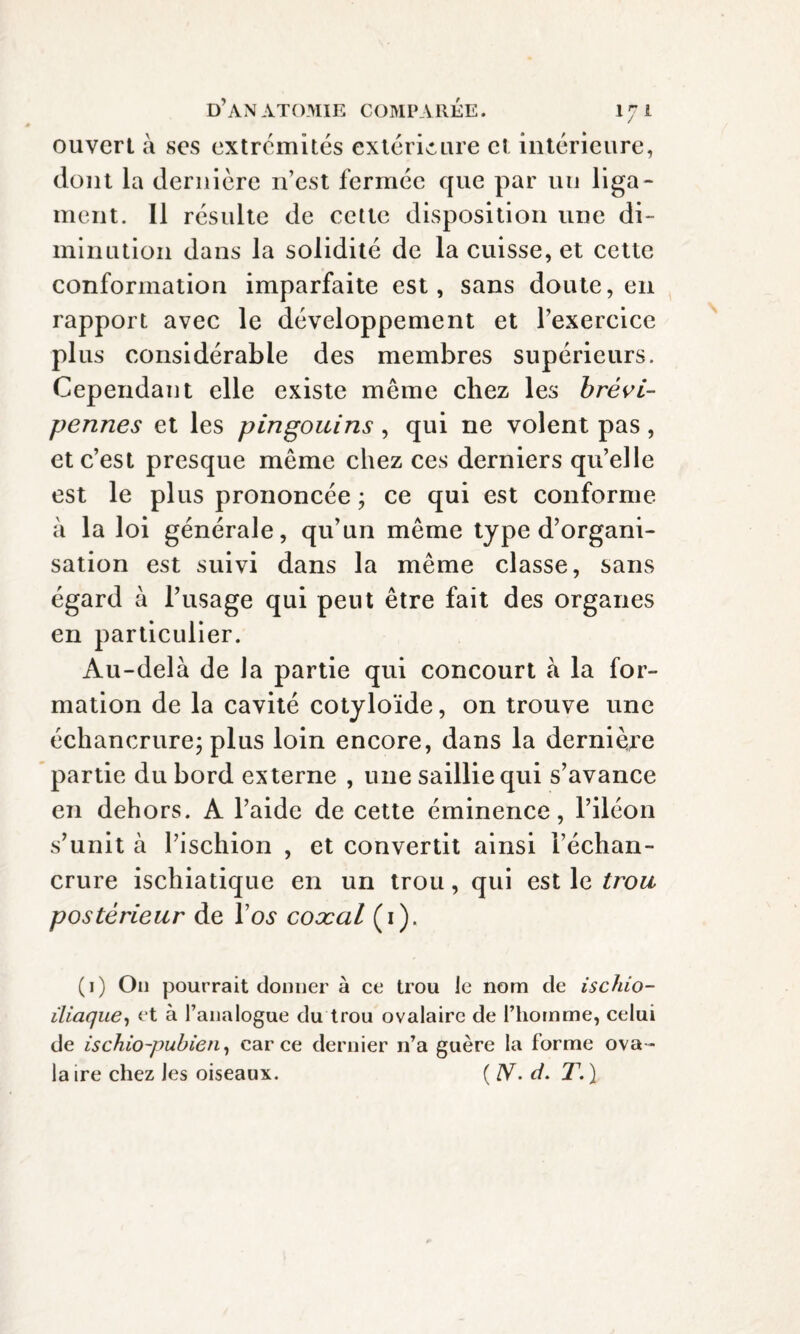 ouvert à ses extrémités extérieure et intérieure, dont la dernière n’est fermée que par un liga¬ ment. Il résulte de cette disposition une di¬ minution dans la solidité de la cuisse, et cette conformation imparfaite est, sans doute, en rapport avec le développement et l’exercice plus considérable des membres supérieurs. Cependant elle existe même chez les brèvi- pennes et les pingouins, qui ne volent pas, et c’est presque même chez ces derniers qu’elle est le plus prononcée ; ce qui est conforme à la loi générale, qu’un même type d’organi¬ sation est suivi dans la même classe, sans égard à l’usage qui peut être fait des organes en particulier. Au-delà de la partie qui concourt à la for¬ mation de la cavité cotyloïde, on trouve une échancrure; plus loin encore, dans la dernière partie du bord externe , une saillie qui s’avance en dehors. A l’aide de cette éminence, l’iléon s’unit à l’ischion , et convertit ainsi l’échan¬ crure ischiatique en un trou, qui est le trou postérieur de Tos coxal (1). (1) On pourrait donner à ce trou le nom de ischio- iliaque, et à l’analogue du trou ovalaire de l’homme, celui de ischio-pubien, car ce dernier n’a guère la forme ova- la ire chez les oiseaux. ( N. ci. T. )