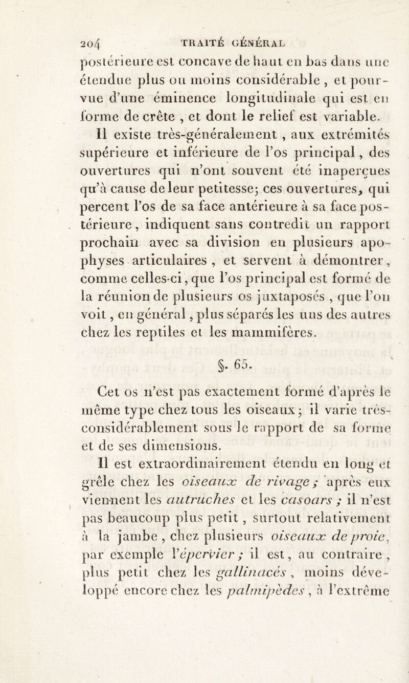 postérieure est concave de haut en bas dans une étendue plus ou moins considérable , et pour¬ vue d’une éminence longitudinale qui est en forme de crête , et dont le relief est variable. Il existe très-généralement , aux extrémités supérieure et inférieure de l’os principal, des ouvertures qui n’ont souvent été inaperçues qu’à cause de leur petitesse; ces ouvertures, qui percent l’os de sa face antérieure à sa face pos¬ térieure , indiquent sans contredit un rapport prochain avec sa division en plusieurs apo¬ physes articulaires, et servent à démontrer, comme celles-ci, que l’os principal est formé de la réunion de plusieurs os juxtaposés , que l’on voit, en général, plus séparés les uns des autres chez les reptiles et les mammifères. §. 65. Cet os n’est pas exactement formé d’après le môme type chez tous les oiseaux; il varie très- considérablement sous le rapport de sa forme et de ses dimensions. Il est extraordinairement étendu en ionn et O grêle chez les oiseauæ de rivage ; après eux viennent les autruches et les casoars ; il n’est pas beaucoup plus petit , surtout relativement à la jambe , chez plusieurs oiseauæ de proie, par exemple Y épervier ; il est, au contraire, plus petit chez les gallinacés , moins déve¬ loppé encore chez les palmipèdes , à l’extrême