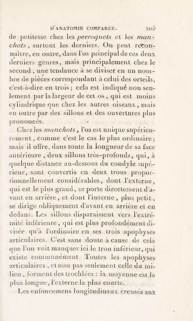 de petitesse chez les perroquets et les man¬ chots , surtout les derniers. Ou peut recon¬ naître, en outre, dans l’os principal de ces deux derniers genres, mais principalement chez le second , une tendance à se diviser en un nom¬ bre de pièces correspondant à celui des orteils, c’est-à-dire en trois ; cela est indiqué non seu¬ lement par la largeur de cet os , qui est moins cylindrique que chez les autres oiseaux, mais en outre par des sillons et des ouvertures plus prononcés. Chez les manchots, l’os est unique supérieu¬ rement, comme c’est le cas le plus ordinaire ; mais il offre, dans toute la longueur de sa face antérieure , deux sillons très-profonds, qui, à quelque distance au-dessous du condyle supé¬ rieur, sont convertis en deux trous propor¬ tionnellement considérables, dont l’externe, qui est le plus grand, se porte directement d’a¬ vant en arrière, et dont l’interne , plus petit , se dirige obliquement d’avant en arrière et en dedans. Les sillons disparaissent vers l’extré¬ mité inférieure, qui est plus profondément di¬ visée qu’à l’ordinaire en ses trois apophyses articulaires. C/est sans doute à cause de cela que Ton voit manquer ici le trou inférieur, qui existe communément Toutes les apophyses articulaires , et non pas seulement celle du mi¬ lieu , forment des trochlécs : la moyenne est la plus longue, l’externe la plus courte. Les enfoncemens longitudinaux creusés aux