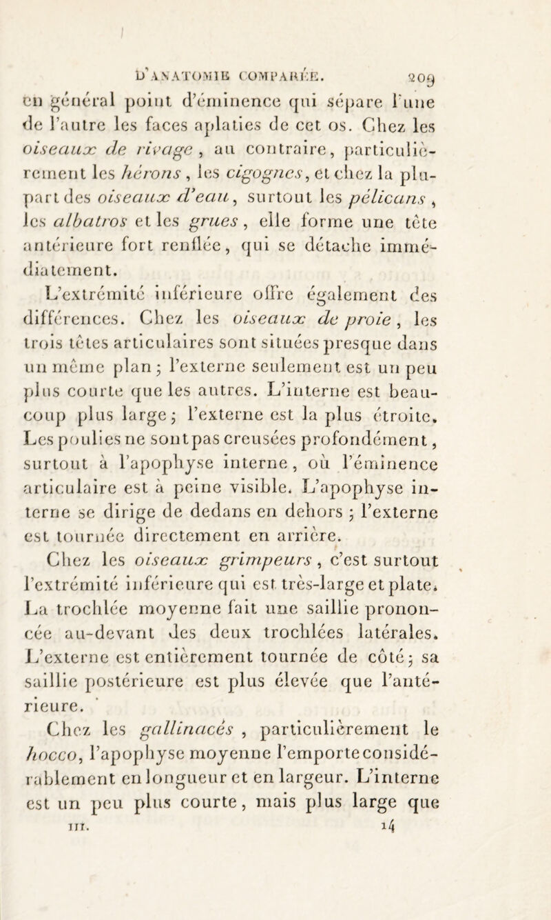 DA. NATO MIE COMPAREE. 20^ on général point d’éminence qui sépare i une de l’autre les faces aplaties de cet os. Chez les oiseaux de rivage, au contraire, particuliè¬ rement les hérons , les cigognes, et chez la plu¬ part des oiseaux d'eau, surtout les pélicans , les albatros et les grues , elle forme une tète antérieure fort renflée, qui se détache immé¬ diatement. L’extrémité inférieure offre également des différences. Chez les oiseaux de proie, les trois tètes articulaires sont situées presque dans un même plan ; l’externe seulement est un peu plus courte que les autres. L’interne est beau¬ coup plus large j l’externe est la plus étroite. Les poulies ne sont pas creusées profondément, surtout à l’apophyse interne, oit l’éminence articulaire est à peine visible. L’apophyse in¬ terne se dirige de dedans en dehors ; l’externe est tournée directement en arrière. Chez les oiseaux grimpeurs , c’est surtout l’extrémité inférieure qui est très-large et plate* La trochlée moyenne fait une saillie pronon¬ cée au-devant des deux trochlées latérales. L’externe est entièrement tournée de côté 5 sa saillie postérieure est plus élevée que l’anté¬ rieure. Chez les gallinacés , particulièrement le hocco, l’apophyse moyenne l’emporteconsidé- rablement en longueur et en largeur. L’interne est un peu plus courte, mais plus large que i4 UT.