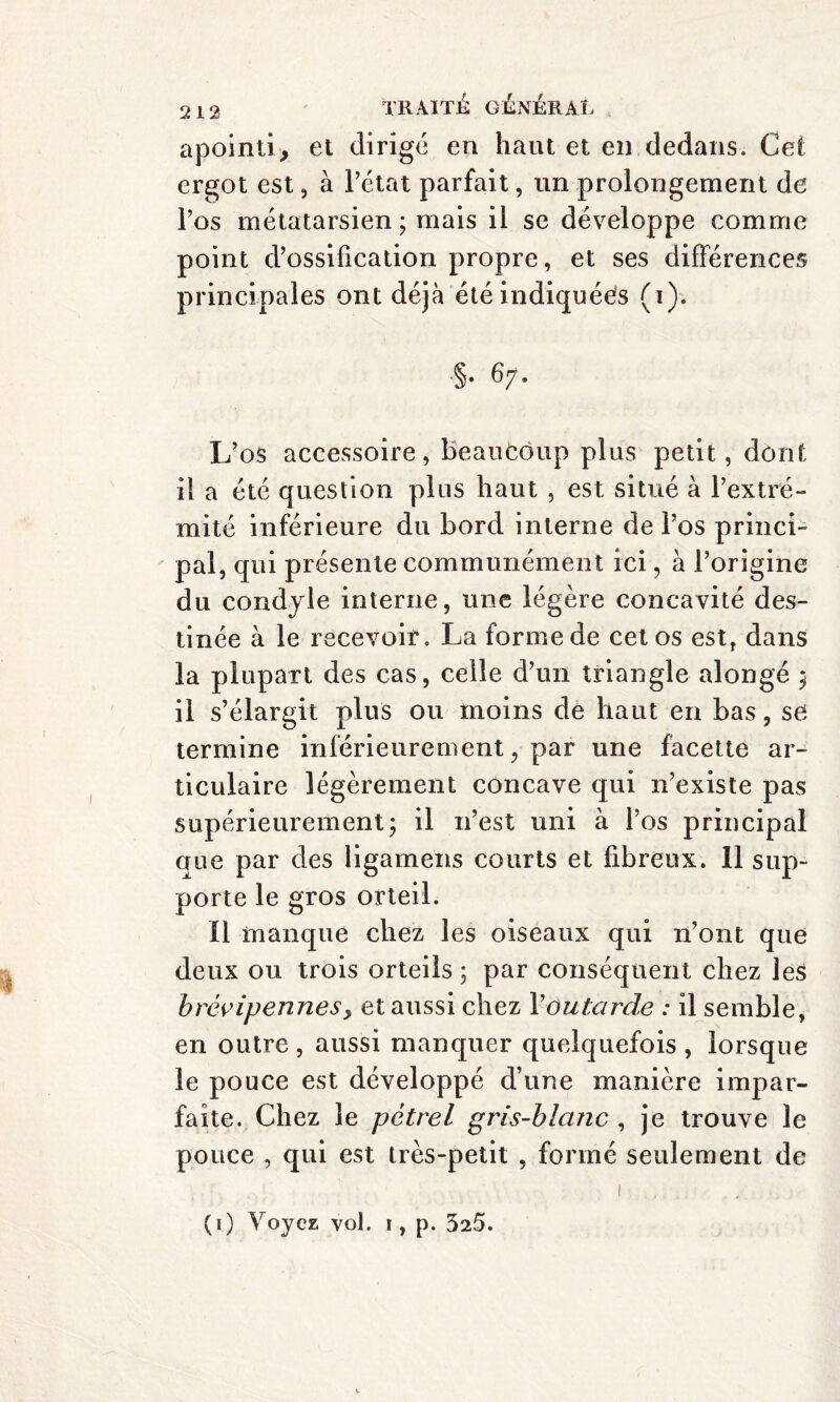 apointi, et dirige en haut et en dedans. Cet ergot est, à l’état parfait, un prolongement de l’os métatarsien ; mais il se développe comme point d’ossification propre, et ses différences principales ont déjà été indiquées (i). L’os accessoire, beaucoup plus petit, dont il a été question plus haut , est situé à l’extré¬ mité inférieure du bord interne de l’os princi¬ pal, qui présente communément ici, h l’origine du condyle interne, une légère concavité des¬ tinée à le recevoir. La forme de cet os est, dans la plupart des cas, celle d’un triangle alongé ; il s’élargit plus ou moins de haut en bas, se; termine inférieurement, par une facette ar¬ ticulaire légèrement concave qui n’existe pas supérieurement; il 11’est uni à l’os principal que par des ligamens courts et fibreux. 11 sup¬ porte le gros orteil. Il manque chez les oiseaux qui n’ont que deux ou trois orteils; par conséquent chez les brévipennesy et aussi chez Xoutarde : il semble, en outre , aussi manquer quelquefois , lorsque le pouce est développé d’une manière impar¬ faite. Chez le pétrel gris-blanc , je trouve le pouce , qui est très-petit , formé seulement de (1) Voyez vol. 1, p. 325.