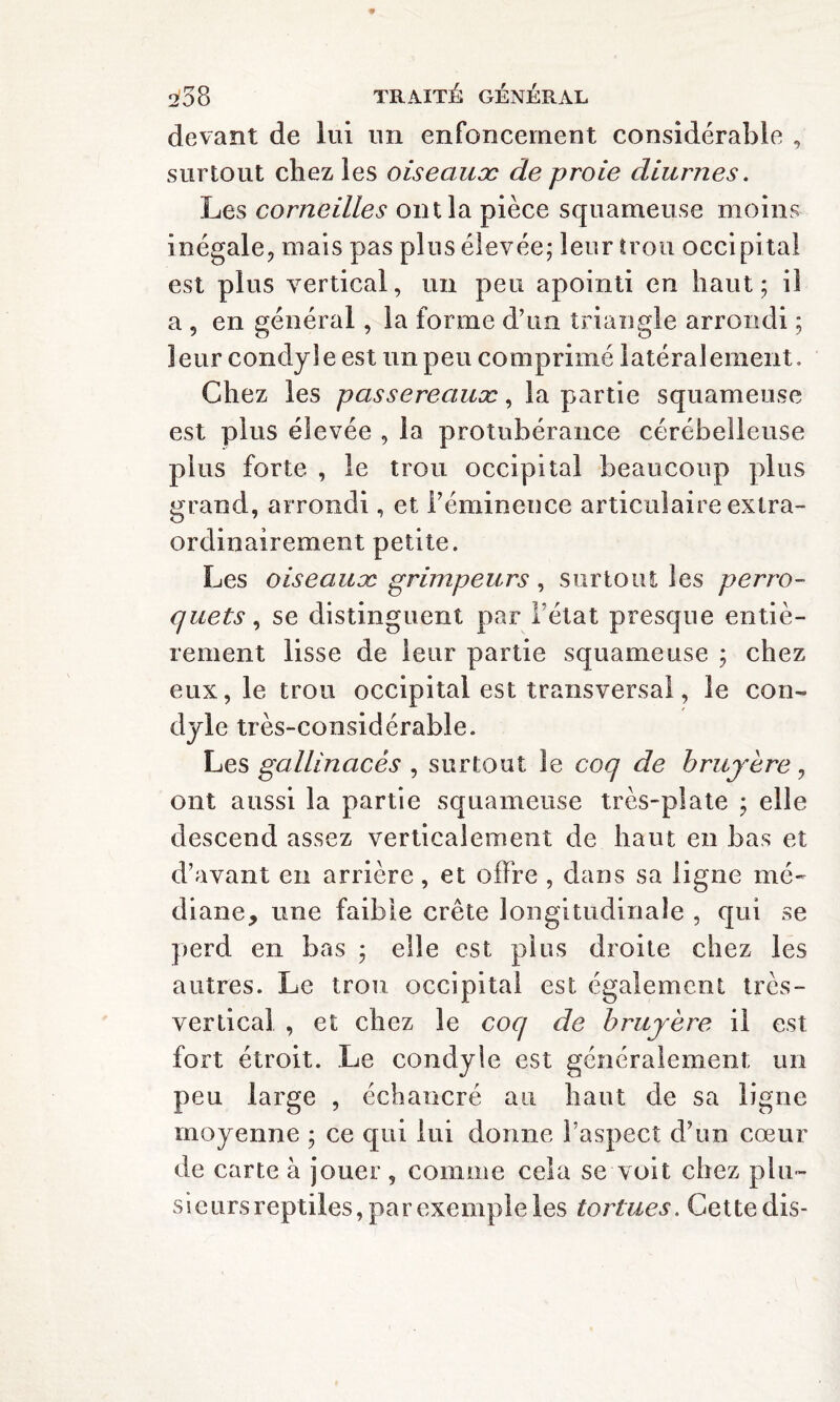 devant de lui un enfoncement considérable , surtout chez les oiseaux? de proie diurnes. Les corneilles ont la pièce squameuse moins inégale, mais pas plus élevée; leur trou occipital est plus vertical, un peu apointi en haut; iî a , en général, la forme d’un triangle arrondi ; leur condyle est un peu comprimé latéralement. Chez les passereaux, la partie squameuse est plus élevée , la protubérance cérébelleuse plus forte , le trou occipital beaucoup plus grand, arrondi, et l’éminence articulaire extra¬ ordinairement petite. Les oiseaux grimpeurs, surtout les perro¬ quets , se distinguent par l’état presque entiè¬ rement lisse de leur partie squameuse ; chez eux, le trou occipital est transversal, le con¬ dyle très-considérable. Les gallinacés , surtout le coq de bruyère, ont aussi la partie squameuse très-plate ; elle descend assez verticalement de haut en bas et d’avant en arrière, et offre , dans sa ligne mé¬ diane, une faible crête longitudinale , qui se perd en bas ; elle est plus droite chez les autres. Le trou occipital est également très- vertical , et chez le coq de bruyère il est fort étroit. Le condyle est généralement un peu large , échancré au haut de sa ligne moyenne ; ce qui lui donne l’aspect d’un cœur de carte à jouer , comme cela se voit chez plu- sieursreptiles, par exemple les tortues. Cette dis-