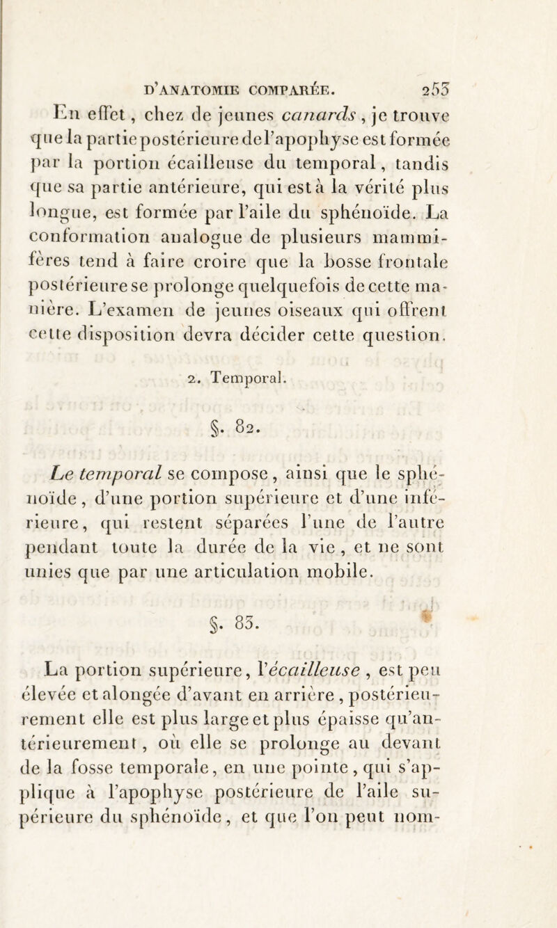 En effet, chez de jeunes canards, je trouve que la partie postérieure del’apophyse est formée par la portion écailleuse du temporal, tandis que sa partie antérieure, qui esta la vérité plus longue, est formée par l’aile du sphénoïde. La conformation analogue de plusieurs mammi¬ fères tend à faire croire que la bosse frontale postérieure se prolonge quelquefois de cette ma¬ nière. L’examen de jeunes oiseaux qui offrent cette disposition devra décider cette question. 2. Temporal. §. 82. Le temporal se compose, ainsi que le sphé¬ noïde , d’une portion supérieure et d’une infe¬ rieure, qui restent séparées l une de l’autre pendant toute la durée de la vie , et ne sont unies que par une articulation mobile. §. 83. La portion supérieure, Xécailleuse , est peu élevée et alongée d’avant en arrière , postérieu¬ rement elle est plus large et plus épaisse qu’an- térieurement, où elle se prolonge au devant de la fosse temporale, en une pointe, qui s’ap¬ plique à l’apophyse postérieure de l’aile su¬ périeure du sphénoïde, et que l’on peut nom-