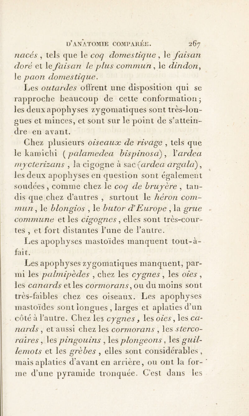 nacês , tels que le coq domestique, le faisan doré et le faisan le plus commun , le dindon, le paon domestique. Les outardes offrent une disposition qui se rapproche beaucoup de cette conformation; les deux apophyses zygomatiques sont très-lon¬ gues et minces, et sont sur le point de s’attein¬ dre en ayant. Chez plusieurs oiseauæ de rivage , tels que le kamichi (palamedea bispinoscif Vardea myclerizans , la cigogne à sac (ardea argald) , les deux apophyses en question sont également soudées , comme chez le coq de bruyère , tan¬ dis que chez d’autres , surtout le héron com¬ mun , le blongios , le butor d’Europe , la grue commune et les cigognes, elles sont très-cour¬ tes , et fort distantes l’une de l'autre. Les apophyses mastoïdes manquent tout-à- fait. Les apophyses zygomatiques manquent, par¬ mi les palmipèdes , chez les cygnes, les oies, les canards et les cormorans, ou du moins sont très-faibles chez ces oiseaux. Les apophyses mastoïdes sont longues , larges et aplaties d’un côté à l’autre. Chez les cygnes, les oies, les ca¬ nards , et aussi chez les cormorans , les sterco¬ raires , les pingouins , les plongeons, les guil¬ lemots et les grèbes , elles sont considérables , mais aplaties d’avant en arrière, ou ont la for- ' me d’une pyramide tronquée. C’est dans les