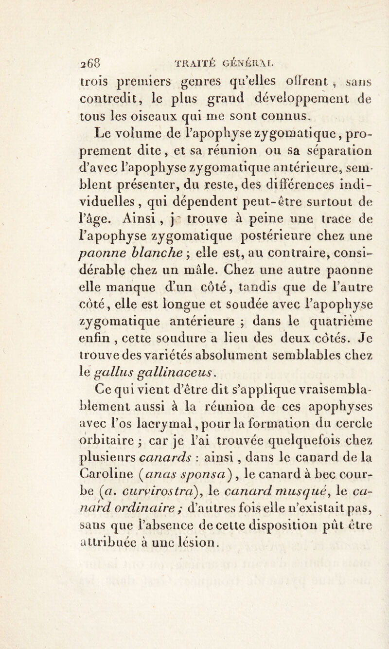 trois premiers genres qu’elles offrent , sans contredit, le plus grand développement de tous les oiseaux qui me sont connus. Le volume de l’apophyse zygomatique, pro¬ prement dite, et sa réunion ou sa séparation d’avec l’apophyse zygomatique antérieure, sem¬ blent présenter, du reste, des différences indi¬ viduelles , qui dépendent peut-être surtout de l’âge. Ainsi , j trouve à peine une trace de l’apophyse zygomatique postérieure chez une paonne blanche ; elle est, au contraire, consi¬ dérable chez un mâle. Chez une autre paonne elle manque d’un côté, tandis que de l’autre côté, elle est longue et soudée avec l’apophyse zygomatique antérieure ; dans le quatrième enfin , cette soudure a lieu des deux côtés. Je trouve des variétés absolument semblables chez le gallus gallinaceus. Ce qui vient d’être dit s’applique vraisembla¬ blement aussi à la réunion de ces apophyses avec l’os lacrymal, pour la formation du cercle orbitaire ; car je l’ai trouvée quelquefois chez plusieurs canards : ainsi , dans le canard de la Caroline (anas s pons a} , le canard à bec cour¬ be (a. curvirostra), le canard musqué, le ca¬ nard ordinaire ; d’autres fois elle n’existait pas, sans que l’absence de cette disposition pût être attribuée à une lésion.