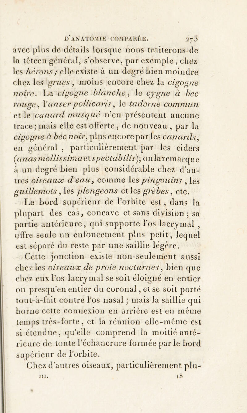 avec pins de détails lorsque nous traiterons de la têtecn général, s’observe, par exemple , chez les hérons ; elle existe à un degré bien moindre chez les grues, moins encore chez la cigogne noire. La cigogne blanche> le cygne ci bec rouge > Vc/nser pollicaris, le tadorne commun et le canard musqué n’en présentent aucune trace; mais elle est offerte, de nouveau , par la cigogne à bec noir, plus encore par les canards, en général , particulièrement par les eiders (cm as mollis s ima e t spectabilis) ; on larema rq u e à un degré bien plus considérable chez d’au*- très oiseaux d’eau> comme les pingouins , les guillemots , les plongeons et les grèbes, etc. Le bord supérieur de l’orbite est * dans la plupart des cas, concave et sans division; sa partie antérieure, qui supporte l’os lacrymal , offre seule un enfoncement plus petit, lequel est séparé du reste par une saillie légère. Cette jonction existe non-seulement aussi chez les oiseaux cle proie nocturnes, bien que chez eux l’os lacrymal se soit éloigné en entier ou presqu’en entier du coronal, et se soit porté tout-à-fait contre l’os nasal ; mais la saillie qui borne cette connexion en arrière est en meme temps très-forte, et la réunion elle-même est si étendue, qu’elle comprend la moitié anté¬ rieure de toute l’échancrure formée parle bord supérieur de l’orbite. Chez d’autres oiseaux, particulièrement plu- 18 in.