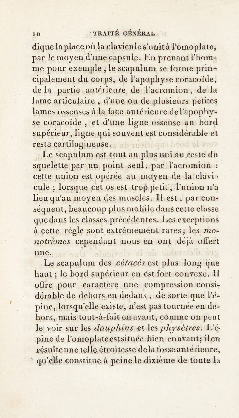 diqne la place où la clavicule s’unit à Pomoplale, par le moyen d’une capsule. En prenant F hom¬ me pour exemple , le scapulum se forme prin¬ cipalement du corps, de l’apophyse coracoïde, delà partie anterieure de Pacrornion, de la lame articulaire , d’une ou de plusieurs petites lames osseuses à la face antérieure dePapophy- se coracoïde , et d’une ligne osseuse au bord supérieur, ligne qui souvent est considérable et reste cartilagineuse. Le scapulum est tout au plus uni au reste du squelette par un point seul, par Pacrornion : cette union est opérée au moyen de la clavi¬ cule ; lorsque cet os est trop petit, l’union n’a lieu qu’au moyen des muscles. Il est, par con¬ séquent, beaucoup plus mobile dans cette classe que dans les classes précédentes. Les exceptions à cette règle sont extrêmement rares:, les mo- notrèmes cependant nous en ont déjà offert une. Le scapulum des cétacés est plus long que haut ; le bord supérieur en est fort convexe. Il offre pour caractère une compression consi¬ dérable de dehors en dedans , de sorte que l’é¬ pine, lorsqu’elle existe, n’est pas tournée en de¬ hors, mais tout-à-fait en avant, comme on peut le voir sur les dauphins et les physètres. L’é¬ pine de Pomoplateestsituée bien enavant; il en résulte une telle étroitesse delà fosse antérieure, qu’elle constitue à peine le dixième de toute la