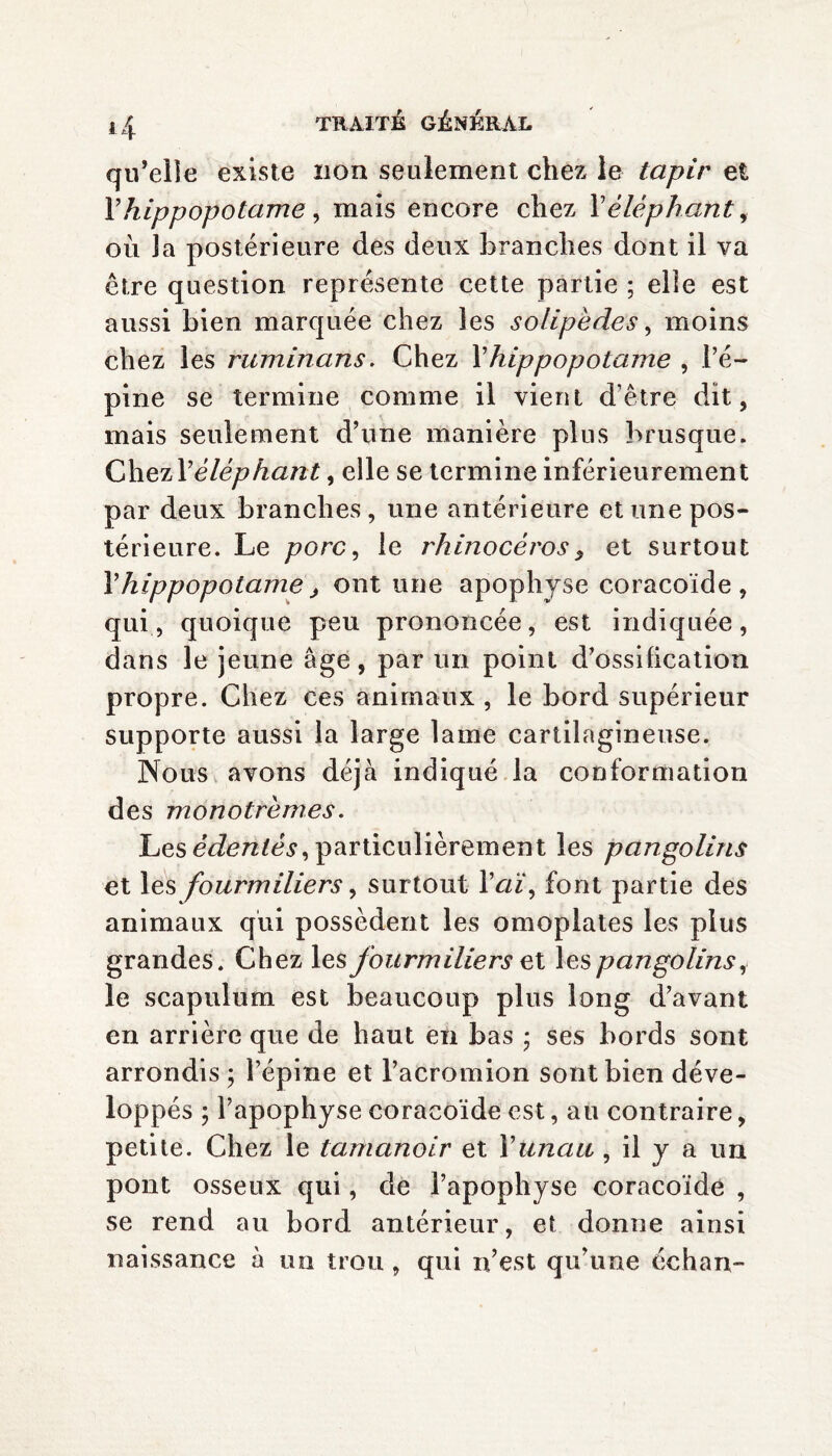 qu’elle existe non seulement chez le tapir et F hippopotame, mais encore chez V éléphant, où la postérieure des deux branches dont il va être question représente cette partie ; elle est aussi bien marquée chez les solipèdes, moins chez les rumin ans. Chez Y hippopotame , l’é¬ pine se termine comme il vient d’être dit, mais seulement d’une manière plus brusque. Chezl’éléphant, elle se termine inférieurement par deux branches, une antérieure et une pos¬ térieure. Le porc, le rhinocéros $ et surtout F hippopotame > ont une apophyse coracoïde, qui, quoique peu prononcée, est indiquée, dans le jeune âge, par un point d’ossification propre. Chez ces animaux , le bord supérieur supporte aussi la large lame cartilagineuse. Nous avons déjà indiqué la conformation des monotrem.es. Les édentés, particulièrement les pangolins et les fourmiliers, surtout Yaï, font partie des animaux qui possèdent les omoplates les plus grandes. Chez les fourmiliers et les pangolins, le scapulum est beaucoup plus long d’avant en arrière que de haut en bas * ses bords sont arrondis ; l’épine et l’acromion sont bien déve¬ loppés ; l’apophyse coracoïde est, au contraire, petite. Chez le tamanoir et Y unau , il y a un pont osseux qui, de l’apophyse coracoïde , se rend au bord antérieur, et donne ainsi naissance à un trou, qui n’est qu’une échan-