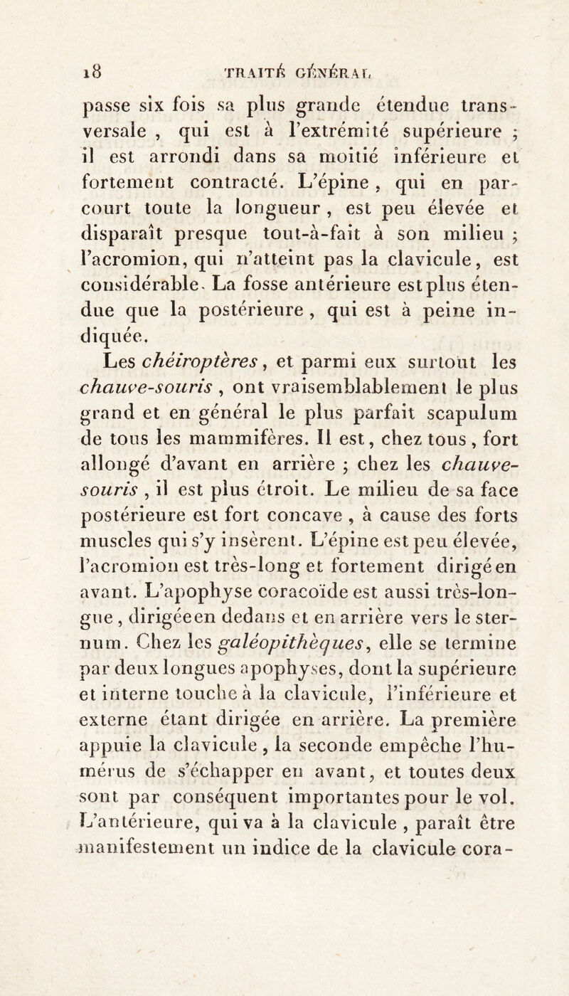 passe six fois sa plus grande étendue trans¬ versale , qui est à l’extrémité supérieure ; il est arrondi dans sa moitié inférieure et fortement contracté. L’épine , qui en par¬ court toute la longueur , est peu élevée et disparaît presque tout-à-fait à son milieu ; Pacromion, qui n’atteint pas la clavicule, est considérable* La fosse antérieure est plus éten¬ due que la postérieure , qui est à peine in¬ diquée. Les chéiroptères, et parmi eux surtout les chauve-souris , ont vraisemblablement le plus grand et en général le plus parfait scapulum de tous les mammifères. Il est, chez tous, fort allongé d’avant en arrière ; chez les chauve- souris , il est plus étroit. Le milieu de sa face postérieure est fort concave , à cause des forts muscles qui s’y insèrent. L’épine est peu élevée, Pacromion est très-long et fortement dirigé en avant. L’apophyse coracoïde est aussi très-lon¬ gue , dirigée en dedans et en arrière vers le ster¬ num. Chez les galéopithèques, elle se termine par deux longues apophyses, dont la supérieure et interne touche à la clavicule, l’inférieure et externe étant dirigée en arrière. La première appuie la clavicule, la seconde empêche l’hu¬ mérus de s’échapper en avant, et toutes deux sont par conséquent importantes pour le vol. L’antérieure, qui va à la clavicule , paraît être manifestement un indice de la clavicule cora-