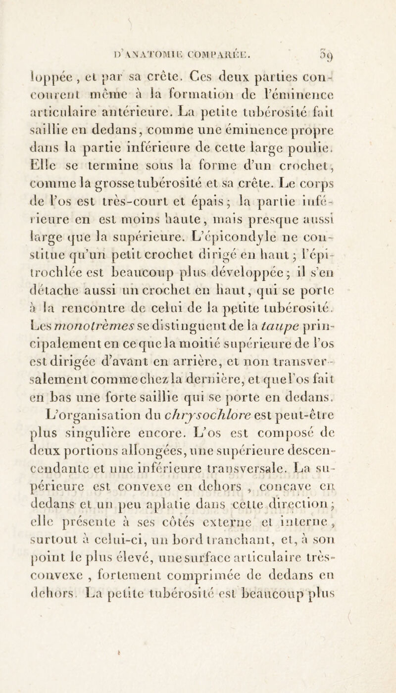 n VNATORllli COMPARÉE. D9 loppée , el par sa crête. Ccs deux parlies con¬ courent même à la formation de l’éminence articulaire antérieure. La petite tubérosité fait saillie en dedans, comme une éminence propre dans la partie inférieure de cette large poulie. Elle se termine sous la forme d’un crochet, comme la grosse tubérosité et sa crête. Le corps de l’os est très-court et épais; la parlie infé¬ rieure en est moins haute, mais presque aussi large que la supérieure. L’épicondyle ne cou stitue qu’un petit crochet dirigé en haut ; l’épi- trochlée est beaucoup plus développée; il s’en détache aussi un crochet en haut, qui se porte à la rencontre de celui de la petite tubérosité. Les monotrèmes se distinguent de la taupe prin¬ cipalement en ce que la moitié supérieure de l’os est dirigée d’avant en arrière, et non transver¬ salement comme chez la dernière, et queî’os fait en bas une forte saillie qui se porte en dedans. L’organisation du chrysochlore est peut-être plus singulière encore. L’os est composé de deux portions allongées, une supérieure descen- cendante et une inférieure transversale. La su¬ périeure est convexe en dehors , concave en dedans et un peu aplatie dans cette direction; clic présente à ses côtés externe et interne , surtout à celui-ci, un bord tranchant, et, a son point le plus élevé, une surface articulaire très- convexe , fortement comprimée de dedans eu dehors, La petite tubérosité est beaucoup plus