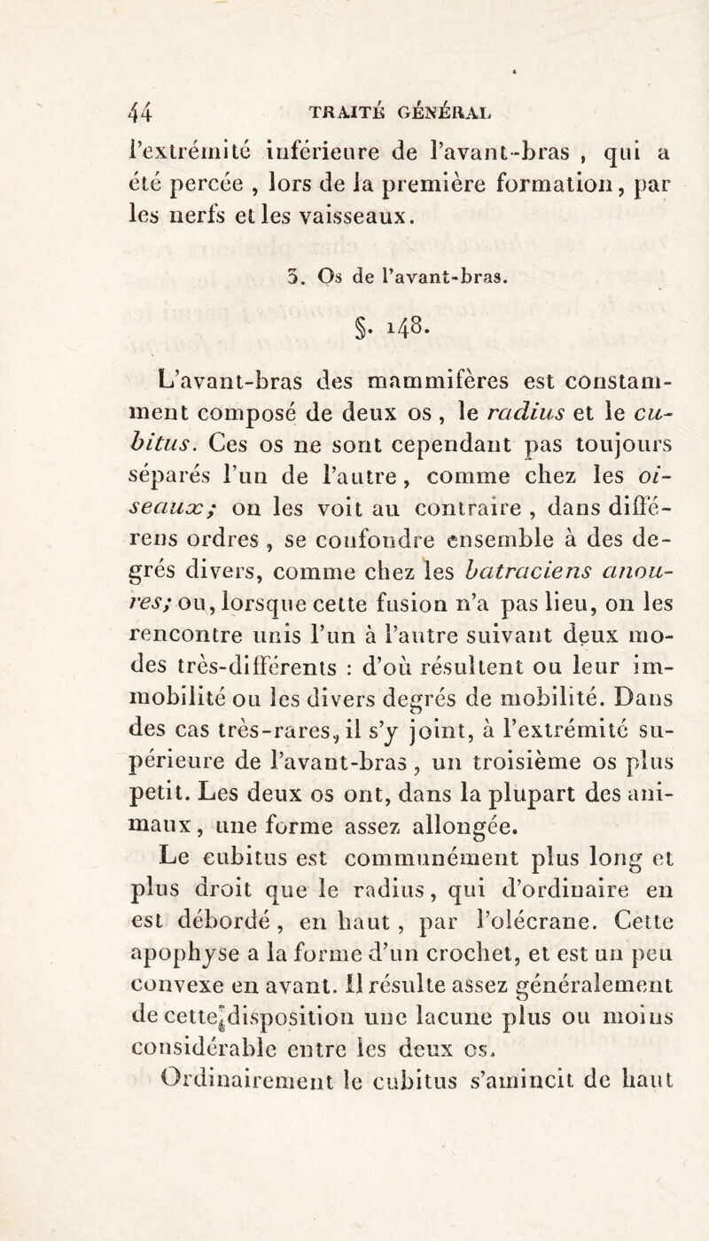 l’extrémité inférieure de l’avant-bras , qui a été percée , lors de la première formation, par les nerfs elles vaisseaux. 3. Os de l’avant-bras. §• 143. L’avant-bras des mammifères est constam¬ ment composé de deux os, le radius et le cu¬ bitus. Ces os ne sont cependant pas toujours séparés l’un de l’autre , comme chez les oi¬ seaux; on les voit au contraire , dans diffé- rens ordres , se confondre ensemble à des de¬ grés divers, comme chez les batraciens anou¬ res; ou, lorsque cette fusion n’a pas lieu, on les rencontre unis l’un à l’autre suivant deux mo¬ des très-différents : d’où résultent ou leur im¬ mobilité ou les divers degrés de mobilité. Dans des cas très-rares, il s’y joint, à l’extrémité su¬ périeure de l’avant-bras, un troisième os plus petit. Les deux os ont, dans la plupart des ani¬ maux, une forme assez allongée. Le cubitus est communément plus long et plus droit que le radius, qui d’ordinaire en est débordé , en haut, par l’olécrane. Cette apophyse a la forme d’un crochet, et est un peu convexe en avant. Il résulte assez généralement de cette|disposition une lacune plus ou moins considérable entre les deux os. Ordinairement le cubitus s’amincit de haut