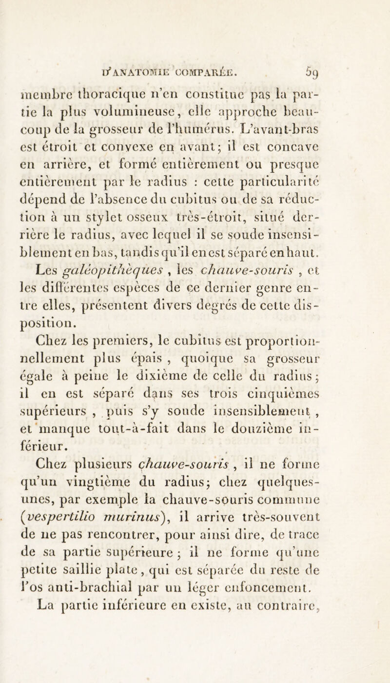 membre thoracique n’en constitue pas la par¬ tie la plus volumineuse, elle approche beau¬ coup de la grosseur de l’humérus. L’avant-bras est étroit et convexe en avant; il est concave en arrière, et forme entièrement ou presque entièrement par le radius : cette particularité dépend de l’absence du cubitus ou de sa réduc¬ tion à un stylet osseux très-étroit, situé der¬ rière le radius, avec lequel il se soude insensi- b ! e m e n t e n b a s, ta 11 di s qu’i 1 e n es t s ép a r é en ha u t. Les galêopithèques , les chauve-souris , et les différentes espèces de ce dernier genre en¬ tre elles, présentent divers degrés de celte dis¬ position. Chez les premiers, le cubitus est proportion¬ nellement plus épais , quoique sa grosseur égale à peine le dixième de celle du radius; il en est séparé dans ses trois cinquièmes supérieurs , puis s’y soude insensiblement, et manque tout-à-fait dans le douzième in¬ férieur. > Chez plusieurs chauve-souris , il ne forme qu’un vingtième du radius; chez quelques- unes, par exemple la chauve-souris commune (vespertilio murinus), il arrive très-souvent de ne pas rencontrer, pour ainsi dire, de trace de sa partie supérieure ; il ne forme qu’une petite saillie plate, qui est séparée du reste de Tos anti-brachial par un léger enfoncement. La partie inférieure en existe, au contraire,