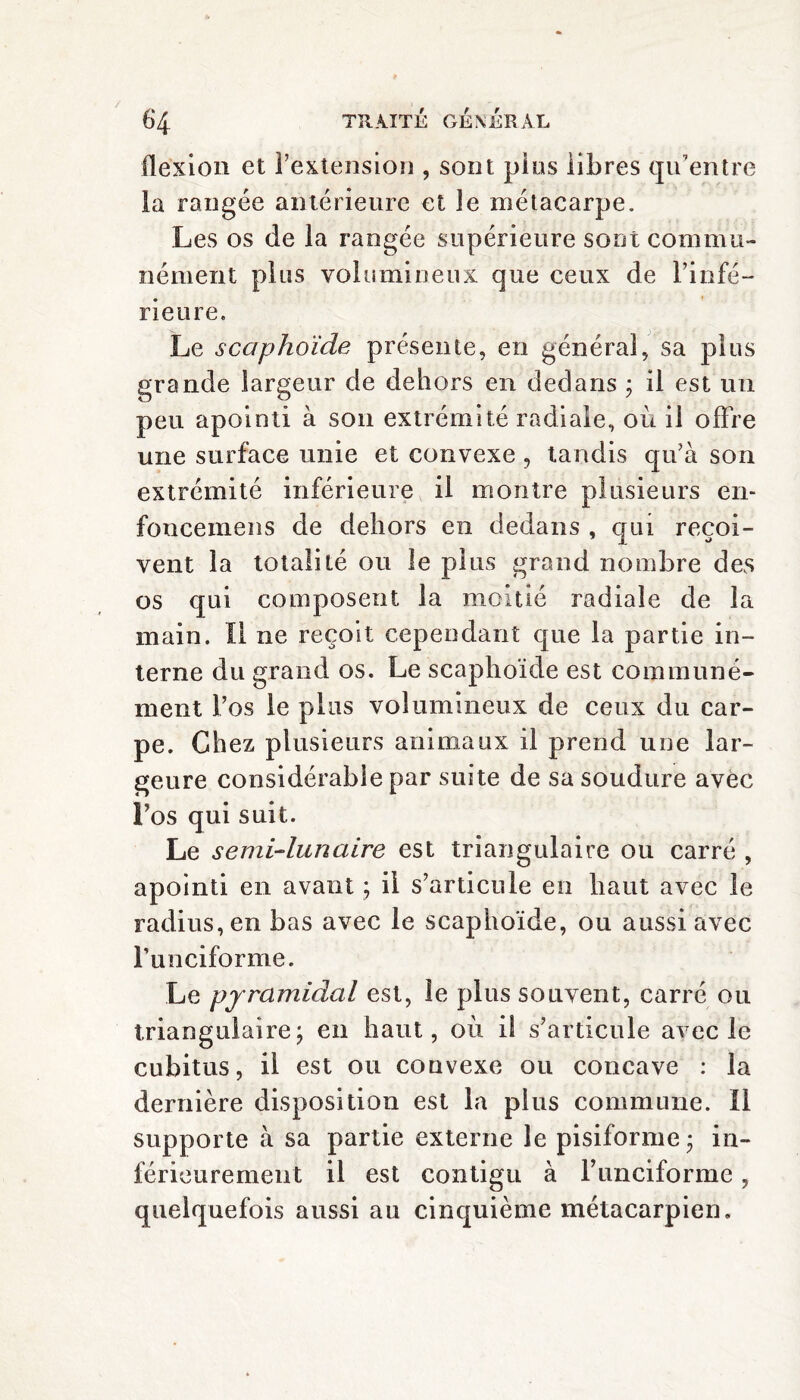 flexion et Intension , sont plus libres qu’entre la rangée antérieure et le métacarpe. Les os de la rangée supérieure sont commu¬ nément plus volumineux que ceux de l’infé¬ rieure. Le scaphoïde présente, en général, sa plus grande largeur de dehors en dedans * il est un peu apointi à son extrémité radiale, où il offre une surface unie et convexe , tandis qu’à son extrémité inférieure il montre plusieurs en- foncemens de dehors en dedans , qui reçoi¬ vent la totalité ou le plus grand nombre des os qui composent la moitié radiale de la main. Il ne reçoit cependant que la partie in¬ terne du grand os. Le scaphoïde est communé¬ ment fos le plus volumineux de ceux du car¬ pe. Chez plusieurs animaux il prend une lar- geure considérable par suite de sa soudure avec l’os qui suit. Le semi-lunaire est triangulaire ou carré , apointi en avant ; il s’articule en liant avec le radius, en bas avec le scaphoïde, ou aussi avec l’unciforme. Le pyramidal est, le plus souvent, carré ou triangulaire; en haut, où il s’articule avec le cubitus, il est ou convexe ou concave : la dernière disposition est la plus commune. Il supporte à sa partie externe le pisiforme; in¬ férieurement il est contigu à runciforme, quelquefois aussi au cinquième métacarpien.