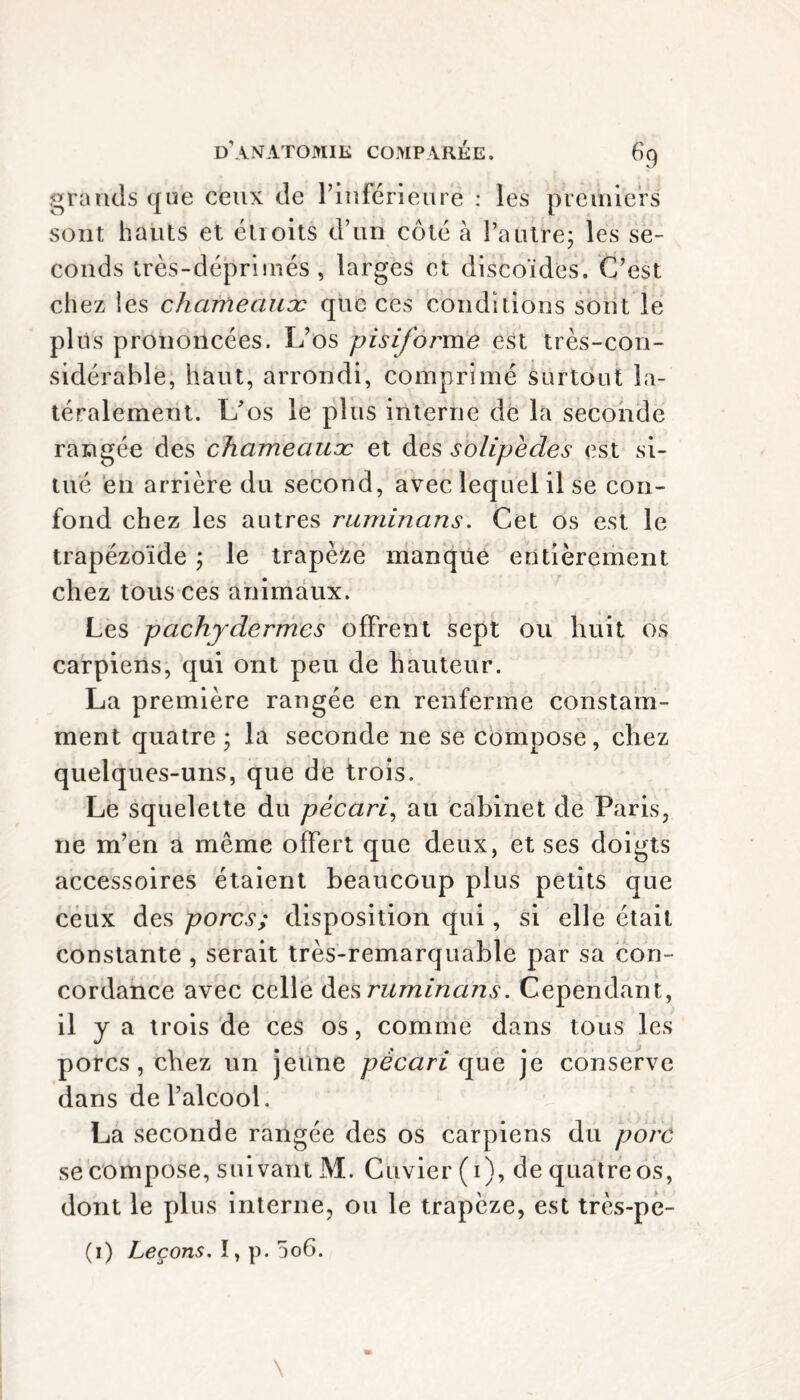 grands que ceux de l’inférieuré : les premiers sont hauts et étroits d’un côté à l’autre; les se¬ conds très-déprimés , larges et discoïdes. C’est chez les chameauæ que ces conditions sont le plus prononcées. L’os pisiforme est très-con¬ sidérable, haut, arrondi, comprimé Surtout la¬ téralement. L’os le plus interne de la seconde rangée des chameauæ et des sblipèdes est si¬ tué en arrière du second, avec lequel il se con¬ fond chez les autres ruminans. Cet os est le trapézoïde ; le trapèze manque entièrement chez tous ces animaux. Les pachydermes offrent sept ou huit os carpiens, qui ont peu de hauteur. La première rangée en renferme constam¬ ment quatre ; la seconde ne se compose, chez quelques-uns, que de trois. Le squelette du pécari, au cabinet de Paris, ne m’en a même offert que deux, et ses doigts accessoires étaient beaucoup plus petits que ceux des porcs; disposition qui, si elle était constante , serait très-remarquable par sa con¬ cordance avec celle des ruminans. Cependant, il y a trois de ces os, comme dans tous les porcs, chez un jeune pécari que je conserve dans de l’alcool. La seconde rangée des os carpiens du porc se compose, suivant M. Cuvier (1), de quatre os, dont le plus interne, ou le trapèze, est très-pe-