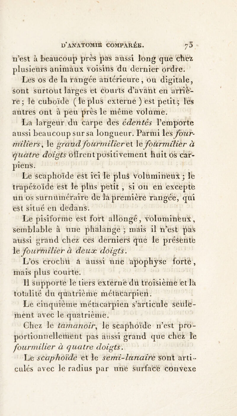 n’est à beaucoup près pas aussi long que chefz plusieurs animaux voisins du dernier ordre. Les os de la rangée antérieure, ou digitale, sont surtout larges et courts d’avant en arriè¬ re; le cuboïde (le plus externe ) est petits les autres ont à peu près le meme volume. La largeur du carpe des édentés l’emporte aussi beaucoup sur sa longueur. Parmi les four¬ miliers , le grand fourmilier ex. le fourmilier à quatre doigts offrent positivement huit os car- piens. Le scaphoïde est ici le plus volumineux ; le trapézoïde est le plus petit , si ou en excepte un os surnuméraire de la première rangée, qui est situé en dedans. Le pisiforme est fort allongé, volumineux, semblable à une phalange ; mais il n’est pas aussi grand chez ces derniers que le présente le fourmilier à deuæ doigts. L’os crochu a aussi une apophyse forte, mais plus courte. 11 supporte le tiers externe dit troisième et la totalité du quatrième métacarpien. Le cinquième métacarpien s’articule seule¬ ment avec le quatrième. Chez le tamanoir, le scaphoïde n’est pro¬ portionnellement pas aussi grand que chez le fourmilier à quatre doigts. Le scaphoïde et le semi-lunaire sont arti¬ culés avec le radius par une surface convexe