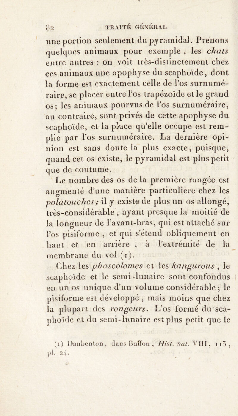 une portion seulement du pyramidal. Prenons quelques animaux pour exemple , les chats entre autres : on voit très-distinctement chez ces animaux une apophyse du scaphuïde, dont la forme est exactement celle de l’os surnumé¬ raire, se placer entre l’os trapézoïde et le grand os; les animaux pourvus de l’os surnuméraire, au contraire, sont privés de cette apophyse du scaphoïde, et la pktce qu’elle occupe est rem¬ plie par l’os surnuméraire. La dernière opi¬ nion est sans doute la plus exacte, puisque, quand cet os existe, le pyramidal est plus petit que de coutume. Le nombre des os de la première rangée est augmenté d’une manière particulière chez les polatouchcs; il y existe de plus un os allongé, très-considérable , ayant presque la moitié de la longueur de l’avant-bras, qui est attaché sur l’os pisiforme , et qui s’étend obliquement en haut et en arrière , à l’extrémité de la membrane du vol (i). Chez les p ha s colonie s et les kangurous , le scaphoïde et le semi -lunaire sont confondus en un os unique d’un volume considérable; le pisiforme est développé , mais moins que chez la plupart des rongeurs. L’os formé du sca¬ phoïde et du semi-lunaire est plus petit que le (i) Daubeolon, dans Buffon , Hist. nat. VIII, ii5, pi. 2/j.