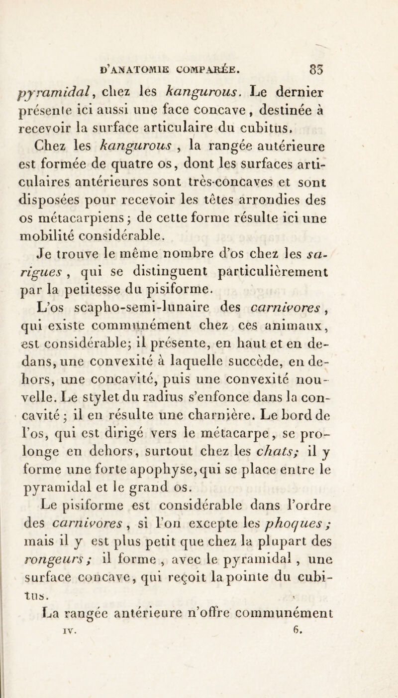 pyramidal, chez les kangurous. Le dernier présente ici aussi une face concave, destinée à recevoir la surface articulaire du cubitus. / Chez les kangurous , la rangée antérieure est formée de quatre os, dont les surfaces arti¬ culaires antérieures sont très-concaves et sont disposées pour recevoir les tètes arrondies des os métacarpiens ; de cette forme résulte ici une mobilité considérable. Je trouve le même nombre d’os chez les sa¬ rigues , qui se distinguent particulièrement par la petitesse du pisiforme. L’os scapho-semi-lunaire des carnivores, qui existe communément chez ces animaux, est considérable; il présente, en haut et en de¬ dans, une convexité à laquelle succède, en de¬ hors, une concavité, puis une convexité nou¬ velle. Le stylet du radius s’enfonce dans la con¬ cavité ; il en résulte une charnière. Le bord de l’os, qui est dirigé vers le métacarpe, se pro¬ longe en dehors, surtout chez les chats; il y forme une forte apophyse,qui se place entre le pyramidal et le grand os. Le pisiforme est considérable dans l’ordre des carnivores , si l’on excepte les phoques ; mais il y est plus petit que chez la plupart des rongeurs ; il forme , avec le pyramidal , une surface concave, qui reçoit la pointe du cubi¬ tus. La rangée antérieure n’offre communément
