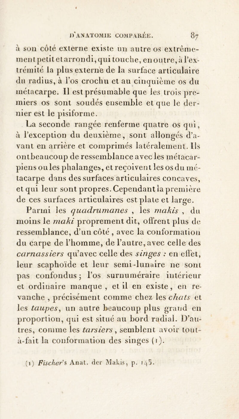 à son côté externe existe un autre os extreme- men t petit et arrondi, qui touche, en outre, à l’ex¬ trémité la plus externe de la surface articulaire du radius, à l’os crochu et au cinquième os du métacarpe. 11 est présumable que les trois pre¬ miers os sont soudés ensemble et que Je der¬ nier est le pisiforme. La seconde rangée renferme quatre os qui, à l’exception du deuxième, sont allongés d’a¬ vant en arrière et comprimés latéralement. Ils ontbeaucoup de ressemblance avec les métacar¬ piens ouïes phalanges, et reçoivent les os du mé¬ tacarpe dans des surfaces articulaires concaves, et qui leur sont propres. Cependant la première de ces surfaces articulaires est plate et large. Parmi les quadrumanes , les makis , du moins le maki proprement dit, offrent plus de ressemblance, d’un côté , avec la conformation du carpe de l’homme, de l’autre, avec celle des carnassiers qu’avec celle des singes : en effet, leur scaphoïde et leur semi-lunaire ne sont pas confondus 5 l’os surnuméraire intérieur et ordinaire manque , et il en existe, en re¬ vanche , précisément comme chez les chats et les taupes, un autre beaucoup plus grand en proportion, qui est situé au bord radial. D’au¬ tres, comme les tarsiers, semblent avoir tout- à-fait la conformation des singes (1). (1) Fischer's Anat. der Makis, p. 14a.