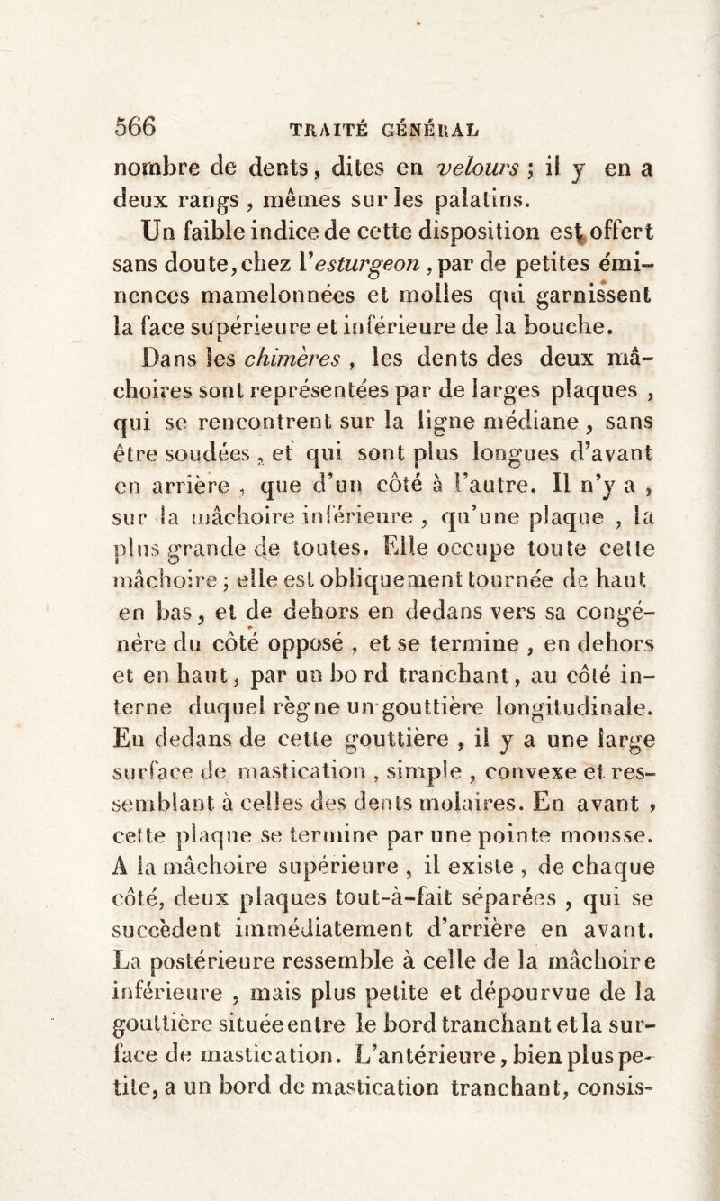 nombre cle dents, dites en velours ; il y en a deux rangs , mêmes sur les palatins. Un faible indice de cette disposition est offert sans doute, chez Y esturgeon ,par de petites émi¬ nences mamelonnées et molles qui garnissent la face supérieure et inférieure de la bouche. Dans les chimères , les dents des deux mâ¬ choires sont représentées par de larges plaques , qui se rencontrent sur la ligne médiane, sans être soudées , et qui sont plus longues d’avant en arrière , que d’un côté à l’autre. Il n’y a , sur la mâchoire inférieure , qu’une plaque , la plus grande cle toutes. Elle occupe toute cette mâchoire ; elle est obliquement tournée de haut en bas, et de dehors en dedans vers sa congé¬ nère du côté opposé , et se termine , en dehors et en haut, par un bo rd tranchant, au côté in¬ terne duquel règne un gouttière longitudinale. Eu dedans de cette gouttière , il y a une large surface de mastication , simple , convexe et res¬ semblant à celles des dents molaires. En avant » cette plaque se termine par une pointe mousse. A la mâchoire supérieure , il existe , de chaque côté, deux plaques tout-à-fait séparées , qui se succèdent immédiatement d’arrière en avant. La postérieure ressemble à celle de la mâchoire inférieure , mais plus petite et dépourvue de la gouttière située entre le bord tranchant et la sur¬ face de mastication. L’antérieure, bien plus pe¬ tite, a un bord de mastication tranchant, consis-