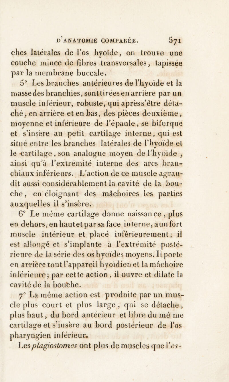 ches latérales de l’os hyoïde, on trouve une couche mince de fibres transversales, tapissée par la membrane buccale. 5° Les branches antérieures de l’hyoïde et la masse des branchies, sont tirées en arrière par un muscle inférieur, robuste, qui aprèss’étre déta¬ ché, en arrière et en bas, des pièces deuxième, moyenne et inférieure de l’épaule, se bifurque et s’insère au petit cartilage interne, qui est situé entre les branches latérales de l’hyoïde et le -cartilage , son analogue moyen de l’hyoïde , ainsi qu'à l’extrémité interne des arcs bran¬ chiaux inférieurs. L’action de ce muscle agran¬ dit aussi considérablement la cavité de la bou¬ che , en éloignant des mâchoires les parties auxquelles il s’insère. 6° Le meme cartilage donne naissance , plus en dehors, en hautet par sa face interne, àun fort muscle intérieur et placé inférieurement; il est allongé et s’implante à l’extrémité posté¬ rieure de la série des os hyoïdes moyens. Il porte en arrière tout l’appareil hyoïdien et la mâchoire inférieure; par cette action , il ouvre et dilate la cavité de la bouche. 70 La même action est produite par un mus¬ cle plus court et plus large, qui se détache, plus haut, du bord antérieur et libre du mê me cartilage et s’insère au bord postérieur de l’os pharyngien inférieur. Les plagioslomes ont plus de muscles que Y es-