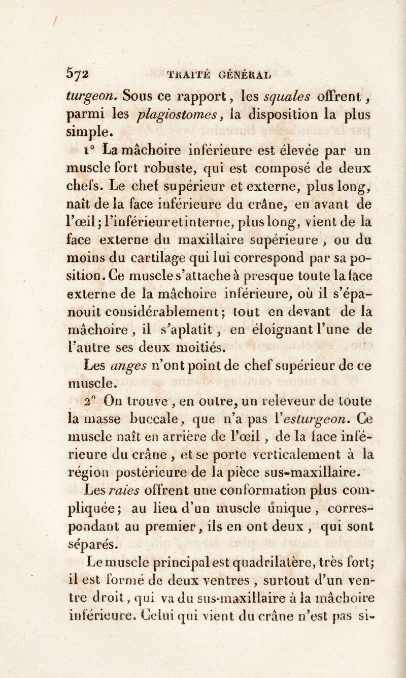 turgeon. Sous ce rapport, les squales offrent , parmi les plagiostomes, la disposition la plus simple. i° La mâchoire inférieure est élevée par un muscle fort robuste, qui est composé de deux chefs. Le chel supérieur et externe, plus long, naît de la face inférieure du crâne, en avant de l’œil; rinférieuretinterne, plus long, vient de la face externe du maxillaire supérieure , ou du moins du cartilage qui lui correspond par sa po¬ sition. Ce muscle s’attache à presque toute la lace externe de la mâchoire inférieure, où il s’épa¬ nouit considérablement ; tout en devant delà mâchoire , il s’aplatit, en éloignant l’une de l’autre ses deux moitiés. Les anges n’ont point de chef supérieur de ce muscle. 20 On trouve , en outre, un releveur de toute la masse buccale, que n’a pas Y esturgeon. Ce muscle naît en arrière de l’œil, de la face infé¬ rieure du crâne , et se porte verticalement à la région postérieure de la pièce sus-maxillaire. Les raies offrent une conformation plus com¬ pliquée; au lieu d’un muscle unique, corres¬ pondant au premier, iis en ont deux , qui sont séparés. Le muscle principal est quadrilatère, très fort; il est formé de deux ventres , surtout d’un ven¬ tre droit, qui va du sus-maxillaire à la mâchoire inlérieure. Celui qui vient du crâne n’est pas si-