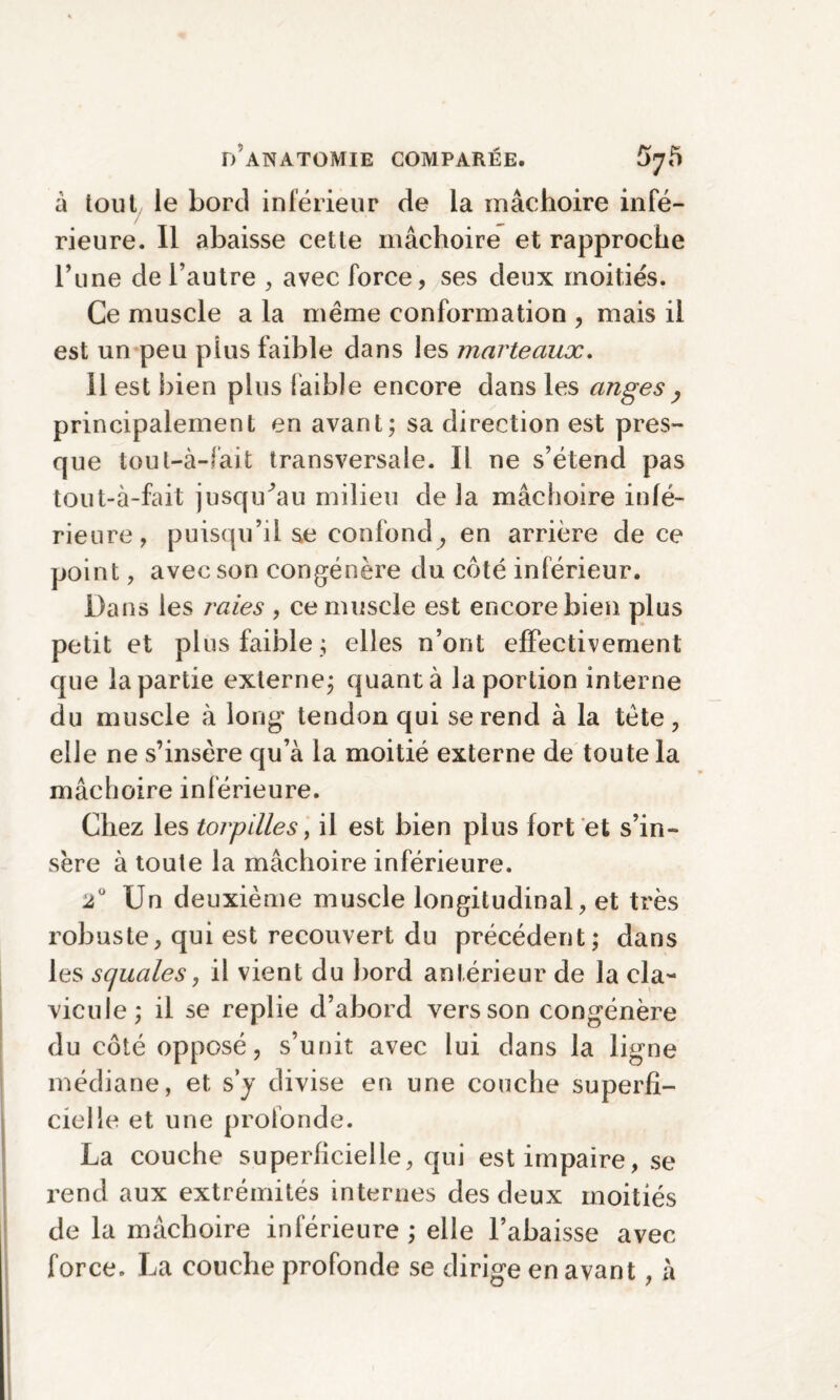 à tout le bord inférieur de la mâchoire infé¬ rieure. Il abaisse cette mâchoire et rapproche l’une de l’autre , avec force, ses deux moitiés. Ce muscle a la meme conformation , mais il est un peu plus faible dans les marteaux. Il est bien plus faible encore dans les anges , principalement en avant; sa direction est pres¬ que tout-à-fait transversale. Il ne s’étend pas tout-à-fait jusqffau milieu de la mâchoire infé¬ rieure, puisqu’il se confond, en arrière de ce point, avec son congénère du côté inférieur. Dans les raies , ce muscle est encore bien plus petit et plus faible ; elles n’ont effectivement que la partie externe; quant à la portion interne du muscle à long tendon qui se rend à la tète, elle ne s’insère qu’à la moitié externe de toute la mâchoire inférieure. Chez les torpilles, il est bien plus fort et s’in¬ sère à toute la mâchoire inférieure. 2Ü Un deuxième muscle longitudinal, et très robuste, qui est recouvert du précédent; dans les squales, il vient du bord antérieur de la cla¬ vicule; il se replie d’abord vers son congénère du côté opposé, s’unit avec lui dans la ligne médiane, et s’y divise en une couche superfi¬ cielle et une profonde. La couche superficielle, qui est impaire, se rend aux extrémités internes des deux moitiés de la mâchoire inférieure ; elle l’abaisse avec force. La couche profonde se dirige en avant, à