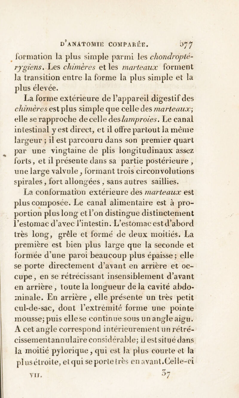 formation la plus simple parmi les chondropté- rygiens. Les chimères et les marteaux forment la transition entre la forme la plus simple et la plus élevée. La forme extérieure de l’appareil digestif des chimères est plus simple que celle des marteaux; elle se rapproche de celle des lamproies. Le canal intestinal y est direct, et il offre partout la meme largeur ; il est parcouru dans son premier quart par une vingtaine de plis longitudinaux assez forts, et il présente dans sa partie postérieure , une large valvule ; formant trois circonvolutions spirales, fort allongées , sans autres saillies. La conformation extérieure des marteaux est plus composée. Le canal alimentaire est à pro¬ portion plus long et l’on distingue distinctement l’estomac d’avec l’intestin. L’estomac est d’abord très long, grêle et formé de deux moitiés. La première est bien plus large que la seconde et formée d’une paroi beaucoup plus épaisse; elle se porte directement d’avant en arrière et oc¬ cupe, en se rétrécissant insensiblement d’avant en arrière, toute la longueur de la cavité abdo¬ minale. En arrière , elle présente un très petit cul-de-sac, dont l’extrémité forme une pointe mousse; puis elle se continue sous un angle aigu. A cet angle correspond intérieurement un rétré- cissementannulaire considérable; il est situé dans la moitié pylorique, qui est la plus courte et la plusélroite, et qui se porte très en avant.Celle-ci