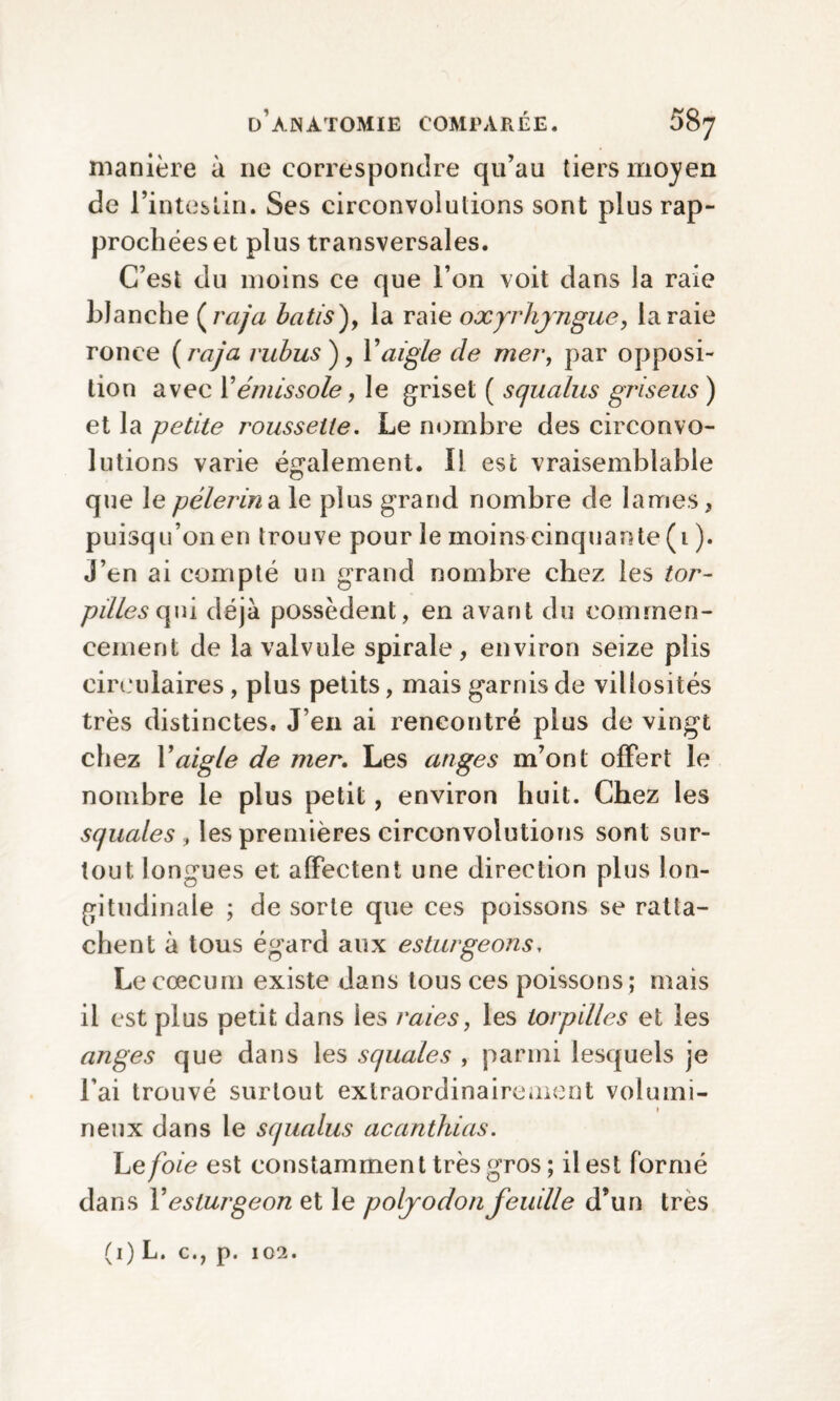 manière à ne correspondre qu’au tiers moyen de l’intestin. Ses circonvolutions sont plus rap¬ prochées et plus transversales. C’est du moins ce que l’on voit dans la raie blanche ( raja bâtis), la raie oxyrhyngue, la raie ronce ( raja rubus ), Y aigle de mer, par opposi¬ tion avec Yémis sole, le griset ( squalus griseus ) et la petite roussette. Le nombre des circonvo¬ lutions varie également. Il est vraisemblable que le pèlerin a le plus grand nombre de lames, puisqu’on en trouve pour le moins cinquante (1 ). J’en ai compté un grand nombre chez les tor¬ pilles qui déjà possèdent, en avant du commen¬ cement de la valvule spirale, environ seize plis circulaires, plus petits, mais garnis de villosités très distinctes. J’en ai rencontré plus de vingt chez Y aigle de mer. Les anges m’ont offert le nombre le plus petit, environ huit. Chez les squales , les premières circonvolutions sont sur¬ tout longues et affectent une direction plus lon¬ gitudinale ; de sorte que ces poissons se ratta¬ chent à tous égard aux esturgeons, Le cæcum existe dans tous ces poissons; mais il est plus petit dans ies raies, les torpilles et les anges que dans les squales , parmi lesquels je l’ai trouvé surtout extraordinairement volumi- » neux dans le squalus acanthias. he foie est constamment très gros ; il est formé dans Y esturgeon et le polyodon feuille d’un très (1) L. c., p. 102.