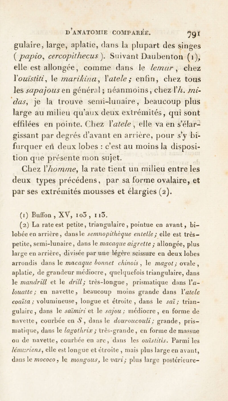 gulaire, large, aplatie, dans la plupart des singes ( papio, cercopithecus ). Suivant Daubenton (1), elle est allongée, comme dans le lemur , chez Y ouistiti, le marikina, Yatele; enfin, chez tons les sapajous en général ; néanmoins, chez Xh. ini¬ tias, je la trouve semi-lunaire, beaucoup plus large au milieu qu’aux deux extrémités, qui sont effilées en pointe. Chez Yatele, elle va en s’élar¬ gissant par degrés d’avant en arrière, pour s’y bi¬ furquer en deux lobes : c’est au moins la disposi¬ tion que présente mon sujet. Chez Y homme, la rate tient un milieu entre les deux types précédens, par sa forme ovalaire, et par ses extrémités mousses et élargies (2). (1) Buffon , XV, io5 , 113. (2) La rate est petite, triangulaire, pointue en avant, bi- lobée en arrière, dansle semnopithèque enlelle; elle est très- petite, semi-lunaire, dans le macaque aigrette ; allongée, plus large en arrière, divisée par une légère scissure en deux lobes arrondis dans le macaque bonnet chinois, le magot; ovale, aplatie, de grandeur médiocre, quelquefois triangulaire, dans le mandrill et le drill; très-longue, prismatique dans IV/- loualte ; en navette, beaucoup moins grande dans Yatele coaïta ; volumineuse, longue et étroite, dans le saï ; trian¬ gulaire, dans le saïmiri et le sajou; médiocre, en forme de navette, courbée en S, dansle douroucouli ; grande, pris¬ matique, dans le lagothrix; très-grande, en forme de massue ou de navette, courbée en arc, dans les ouistitis. Parmi les lémuriens, elle est longue et étroite , mais plus large en avant, dans le mococo, le mongous, levari; plus large postérieure-