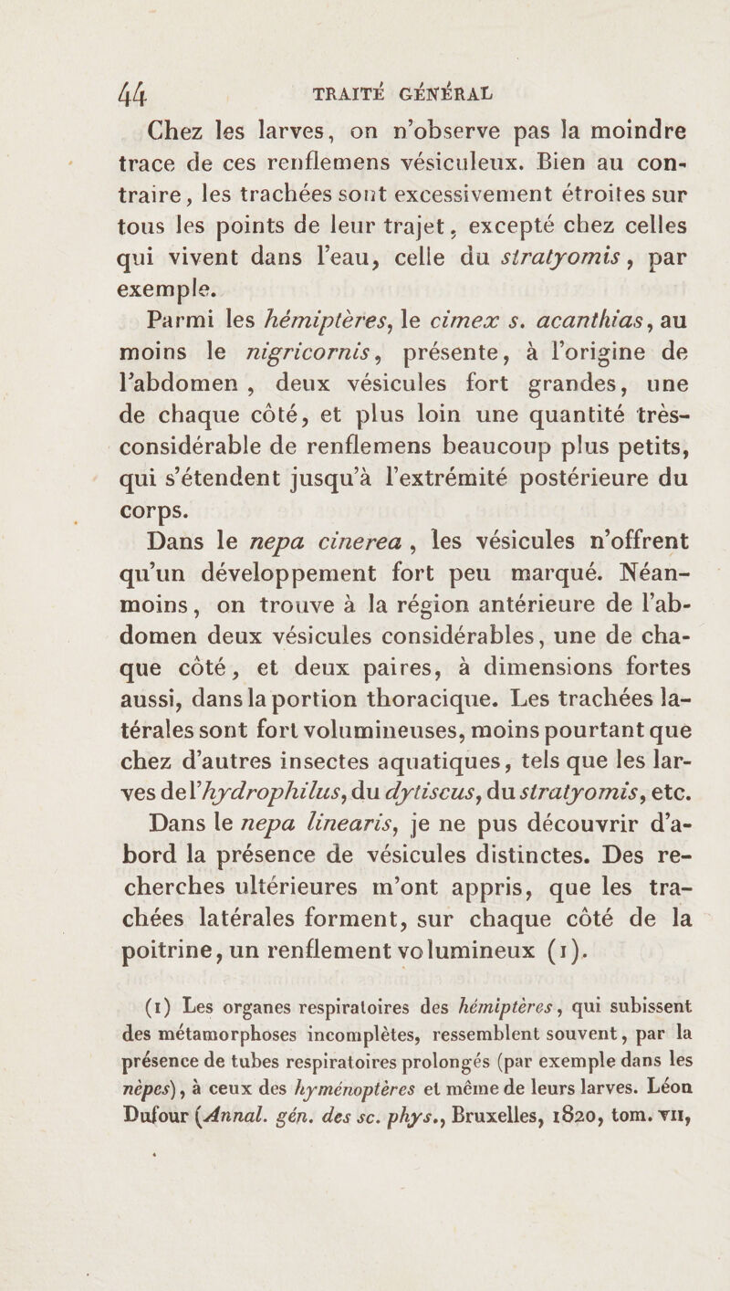 Chez les larves, on n’observe pas la moindre trace de ces renflemens vésiculeux. Bien au con¬ traire, les trachées sont excessivement étroites sur tous les points de leur trajet, excepté chez celles qui vivent dans l’eau, celle du siratyomis, par exemple. Parmi les hémiptères, le cimex s. acanthi as, au moins le nigricornis, présente, à l’origine de l’abdomen , deux vésicules fort grandes, une de chaque côté, et plus loin une quantité très- considérable de renflemens beaucoup plus petits, qui s’étendent jusqu’à l’extrémité postérieure du corps. Dans le nepa cinerea , les vésicules n’offrent qu’un développement fort peu marqué. Néan¬ moins , on trouve à la région antérieure de l’ab¬ domen deux vésicules considérables, une de cha¬ que côté, et deux paires, à dimensions fortes aussi, dans la portion thoracique. Les trachées la¬ térales sont fort volumineuses, moins pourtant que chez d’autres insectes aquatiques, tels que les lar¬ ves de Xhydrophilus, du dytiscus, du siratyomis, etc. Dans le nepa linearis, je ne pus découvrir d’a¬ bord la présence de vésicules distinctes. Des re¬ cherches ultérieures m’ont appris, que les tra¬ chées latérales forment, sur chaque côté de la poitrine, un renflement vo lumineux ( i ). (i) Les organes respiratoires des hémiptères, qui subissent des métamorphoses incomplètes, ressemblent souvent, par la présence de tubes respiratoires prolongés (par exemple dans les nèpcs), à ceux des hyménoptères et même de leurs larves. Léon Dufour (Annal, gén. des sc. phys., Bruxelles, 1820, tom. vu,