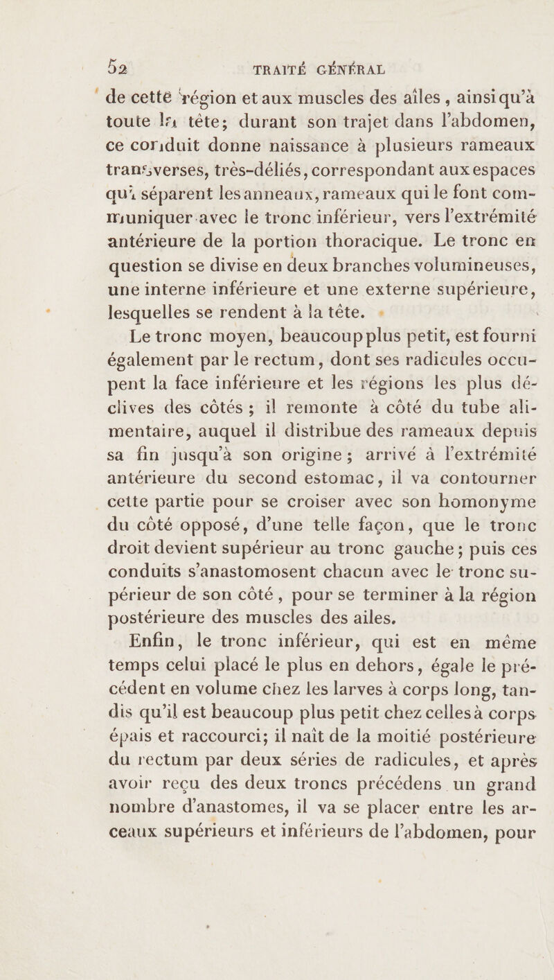 de cette région et aux muscles des ailes , ainsi qu’à toute îrx tète; durant son trajet dans l’abdomen, ce conduit donne naissance à plusieurs rameaux tran.^verses, très-déliés, correspondant aux espaces qu*i séparent les anneaux, rameaux qui le font com¬ muniquer avec le tronc inférieur, vers l’extrémité antérieure de la portion thoracique. Le tronc en question se divise en deux branches volumineuses, une interne inférieure et une externe supérieure, lesquelles se rendent à la tète. Le tronc moyen, beaucoup plus petit, est fourni également par le rectum, dont ses radicules occu¬ pent la face inférieure et les régions les plus dé¬ clives des côtés ; il remonte à côté du tube ali¬ mentaire, auquel il distribue des rameaux depuis sa fin jusqu’à son origine ; arrivé à l’extrémité antérieure du second estomac, il va contourner cette partie pour se croiser avec son homonyme du côté opposé, d’une telle façon, que le tronc droit devient supérieur au tronc gauche ; puis ces conduits s’anastomosent chacun avec le tronc su¬ périeur de son côté , pour se terminer à la région postérieure des muscles des ailes. Enfin, le tronc inférieur, qui est en meme temps celui placé le plus en dehors, égale le pré¬ cédent en volume chez les larves à corps long, tan¬ dis qu’il est beaucoup plus petit chez celles à corps épais et raccourci; il naît de la moitié postérieure du rectum par deux séries de radicules, et après avoir reçu des deux troncs précédens un grand nombre d’anastomes, il va se placer entre les ar¬ ceaux supérieurs et inférieurs de l’abdomen, pour