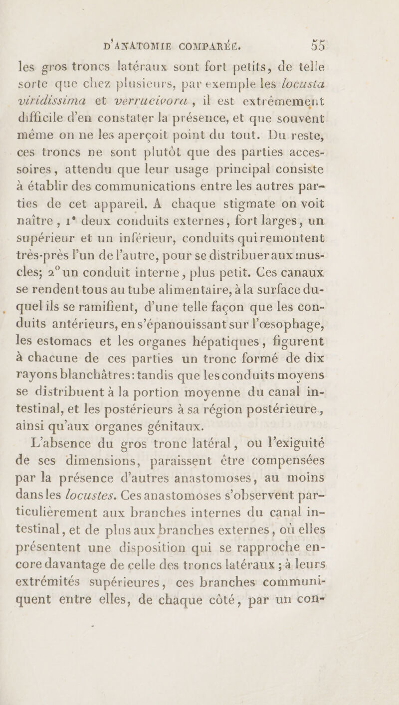 les gros troncs latéraux sont fort petits, de telle sorte que chez plusieurs, par exemple les locusta viridissima et verrucivora , il est extrêmement ' * difficile d’en constater la présence, et que souvent même on ne les aperçoit point du tout. Du reste, ces troncs ne sont plutôt que des parties acces¬ soires, attendu c[ue leur usage principal consiste à établir des communications entre les autres par¬ ties de cet appareil. A chaque stigmate on voit naître , i* deux conduits externes, fort larges, un supérieur et un inférieur, conduits qui remontent très-près l’un de l’autre, pour se distribuer aux mus¬ cles; 2°un conduit interne, plus petit. Ces canaux se rendent tous au tube alimentaire, à la surface du¬ quel ils se ramifient, d’une telle façon que les con¬ duits antérieurs, en s’épanouissant sur l’œsophage, les estomacs et les organes hépatiques, figurent à chacune de ces parties un tronc formé de dix rayonsblanchâtres:tandis que lesconduits moyens se distribuent à la portion moyenne du canal in¬ testinal, et les postérieurs à sa région postérieure , ainsi qu’aux organes génitaux. L’absence du gros tronc latéral, ou l'exiguïté de ses dimensions, paraissent être compensées par la présence d’autres anastomoses, au moins dans les locustes. Ces anastomoses s’observent par¬ ticulièrement aux branches internes du canal in¬ testinal , et de plus aux branches externes, où elles présentent une disposition qui se rapproche en¬ core davantage de celle des troncs latéraux ; à leurs extrémités supérieures, ces branches communi¬ quent entre elles, de chaque côté, par un con-